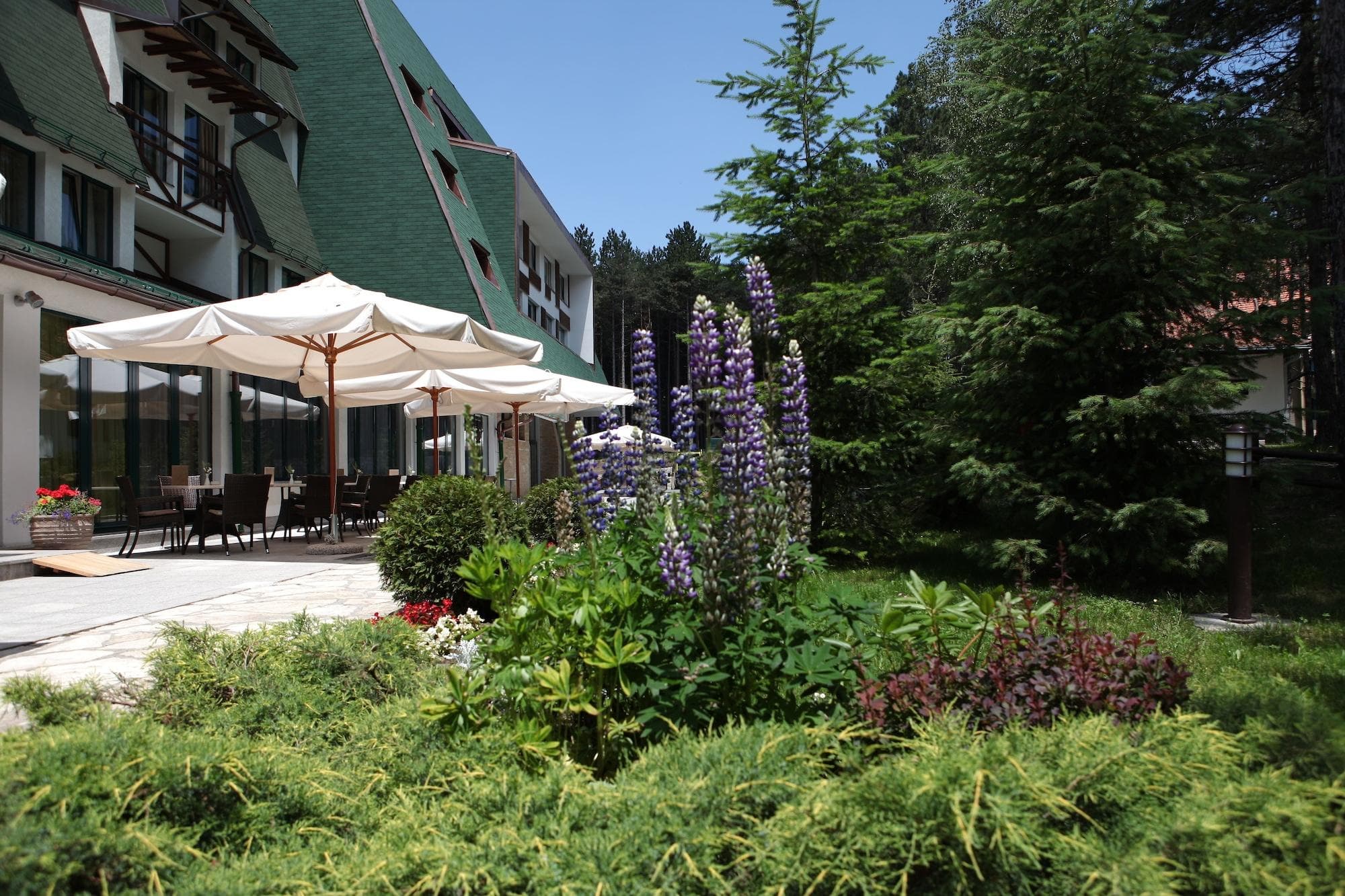 Mona Plaza Zlatibor, General view