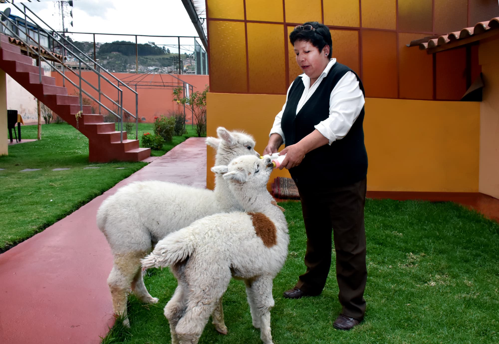 Imperial Cusco Hotel, Sports and Entertainment