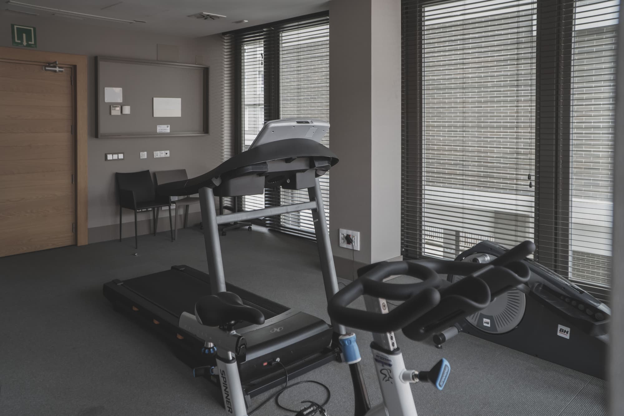 Zenit San Sebastián, Sports and Entertainment