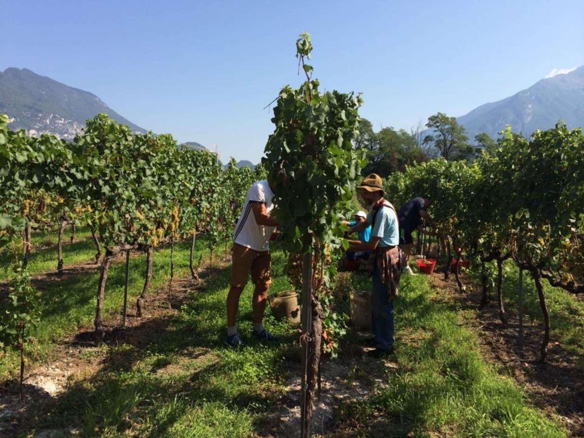 Residence La Vigna, General view