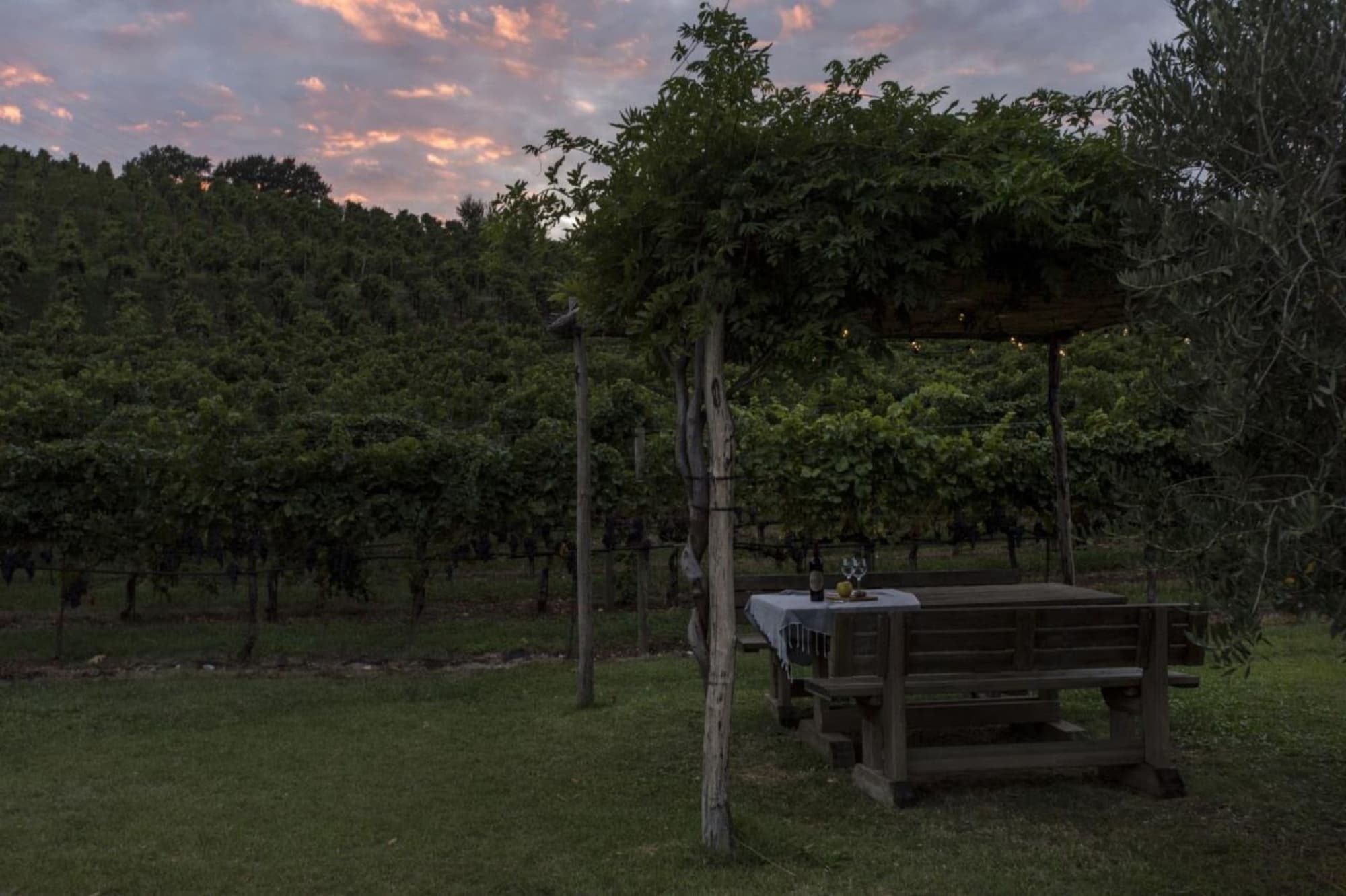 Residence La Vigna, Sports and Entertainment