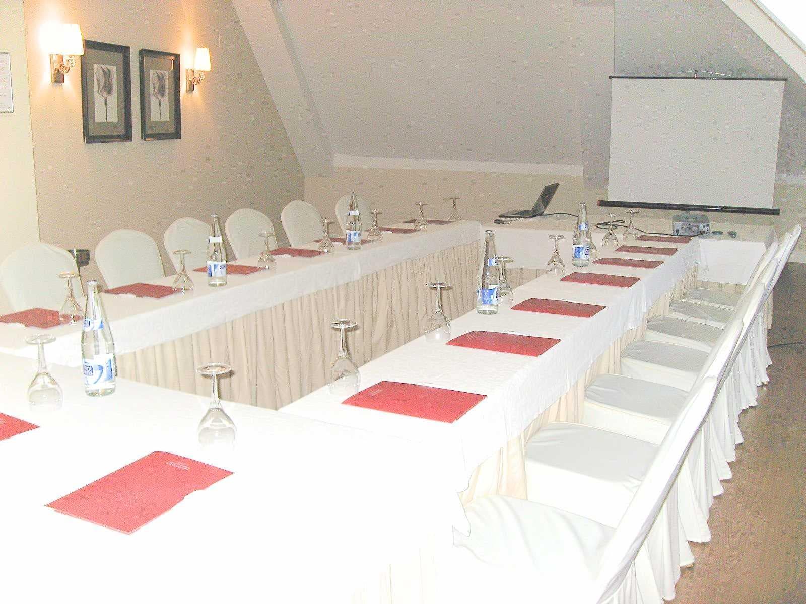 Hotel Infantas de Leon, Conferences