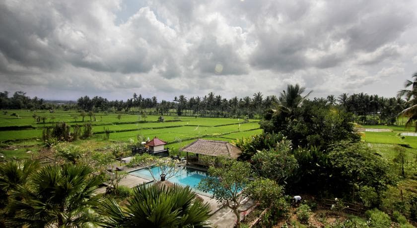 Suly Vegetarian Resort and Spa, General view