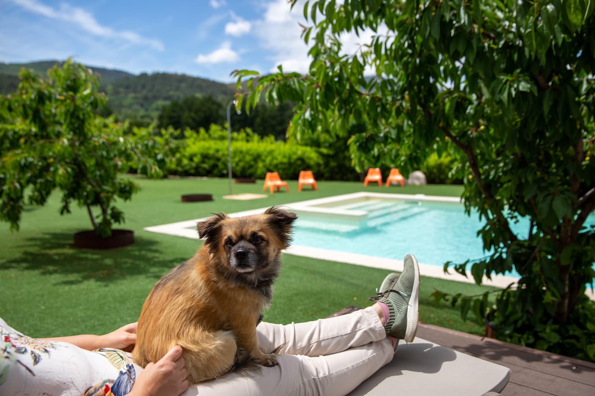 Cerca Design House, General view