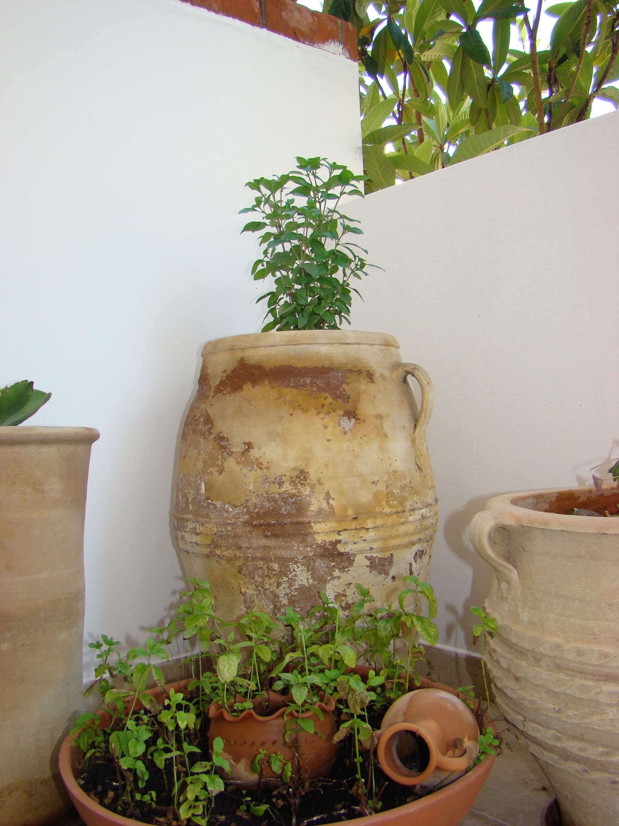 Diamond Apts and Suites, General view