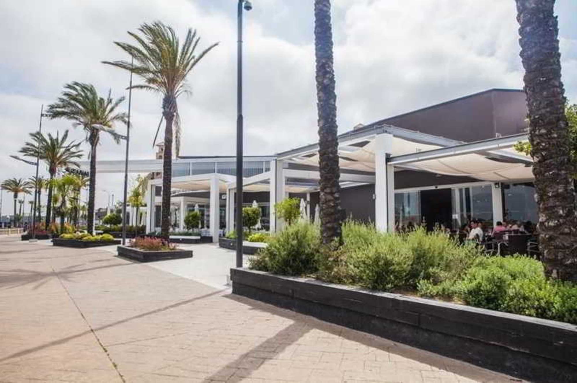 Estudios Turísticos Bahia Sur, Terrace