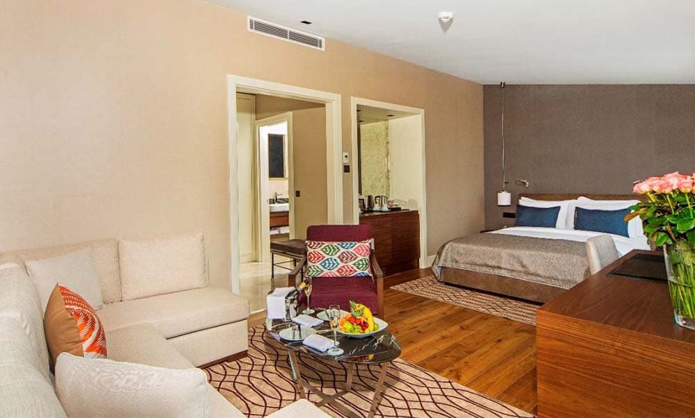 Arts Hotel Istanbul, Room