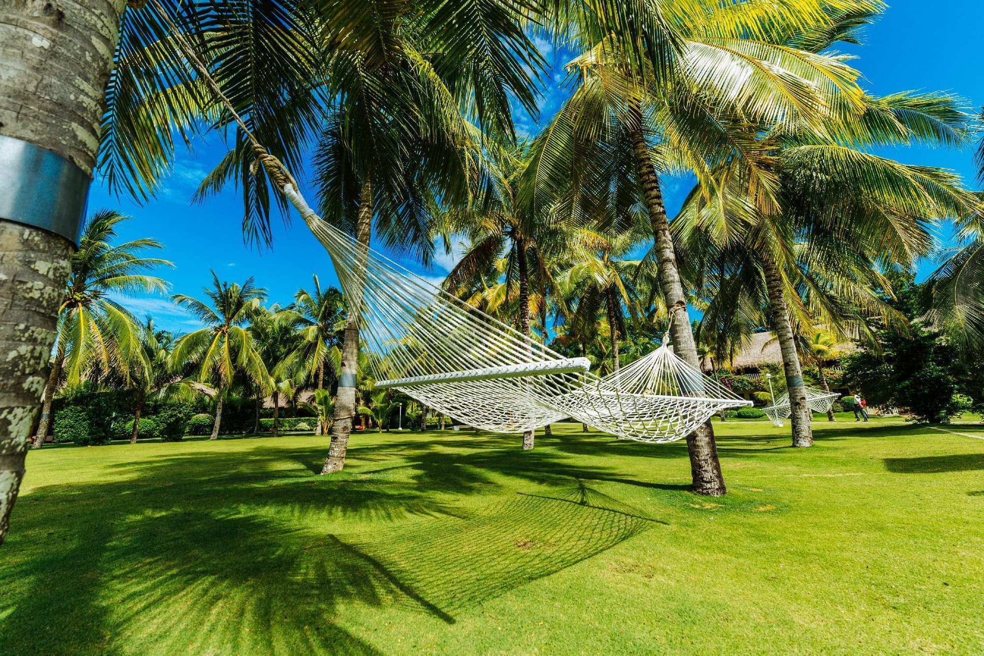 Bohol Beach Club Resort, General view
