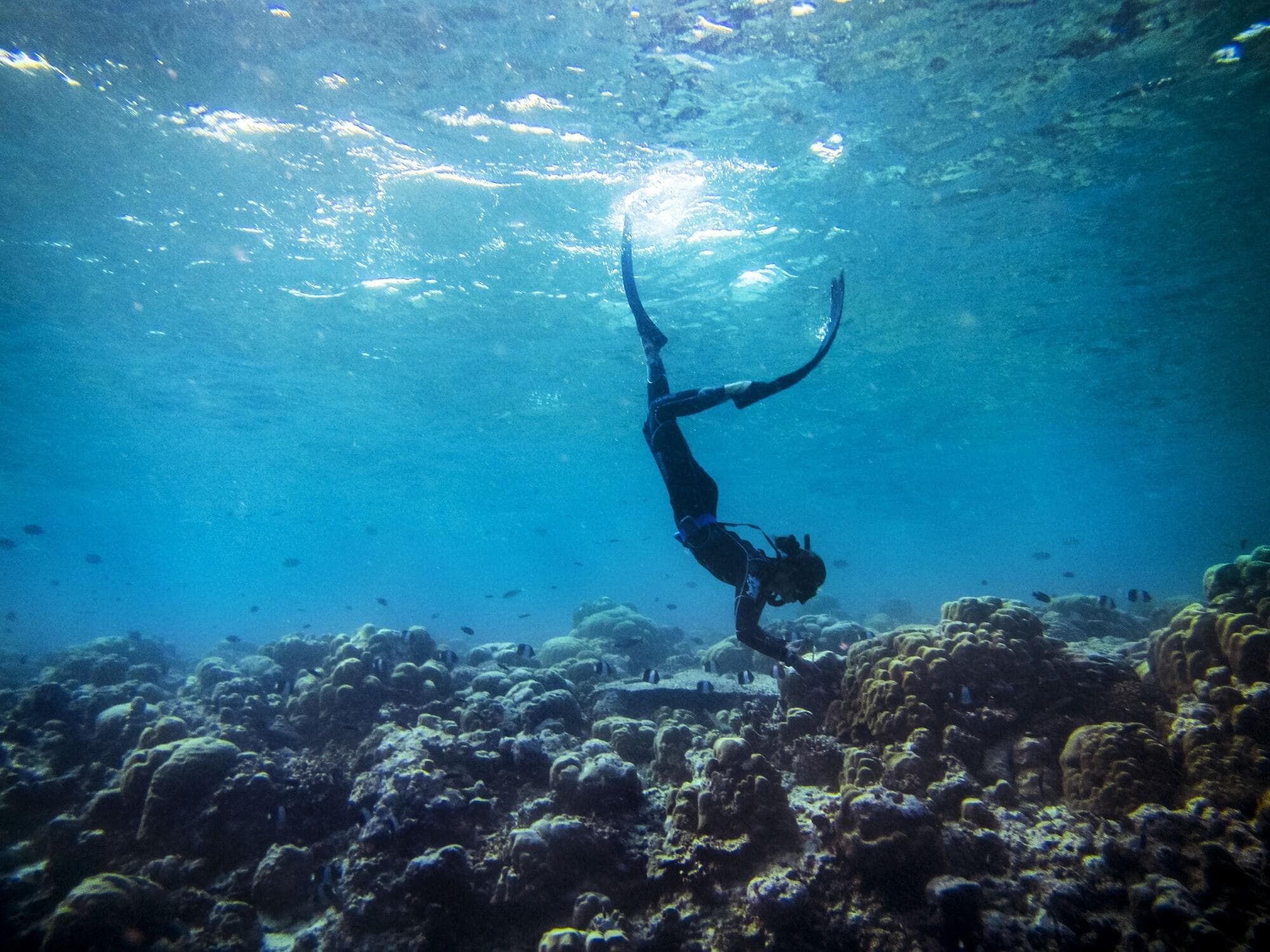 Cheval Blanc Randheli, General view