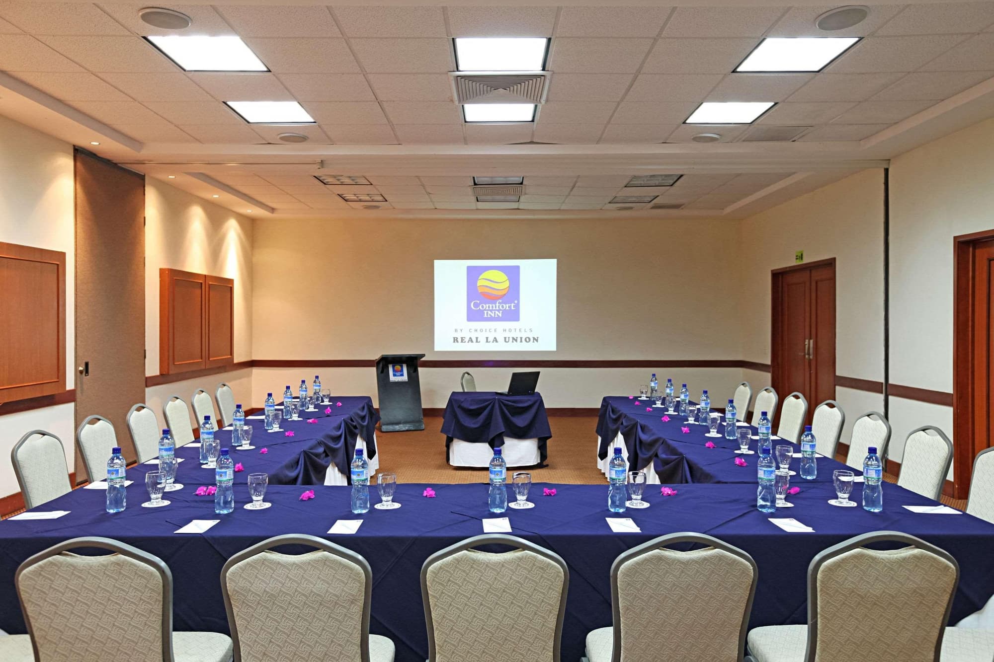 Comfort Inn Real La Union, Conferences