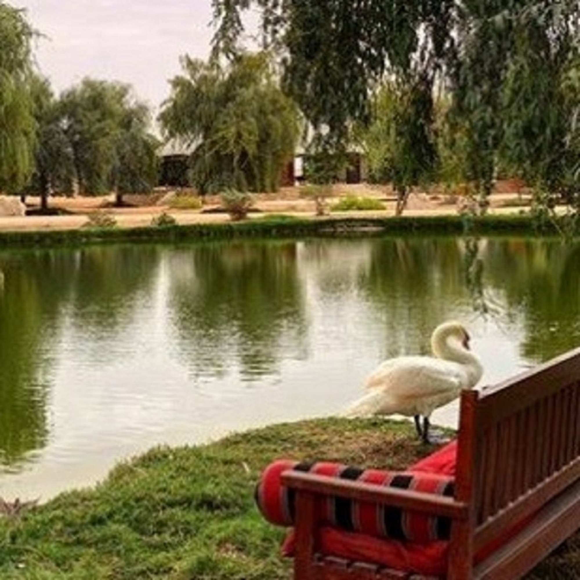 Telal Resort Al Ain, General view