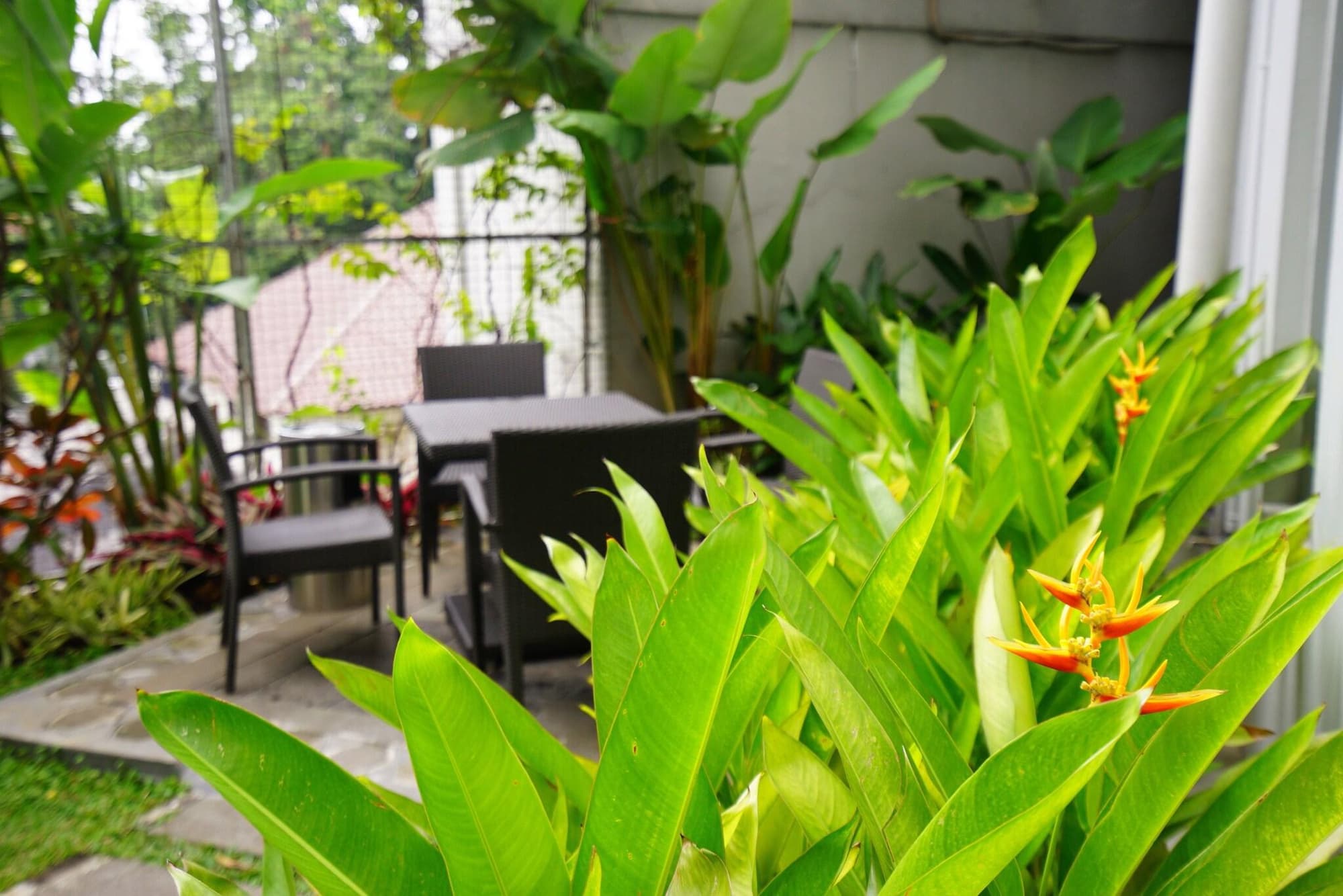 Meize Hotel Bandung, General view