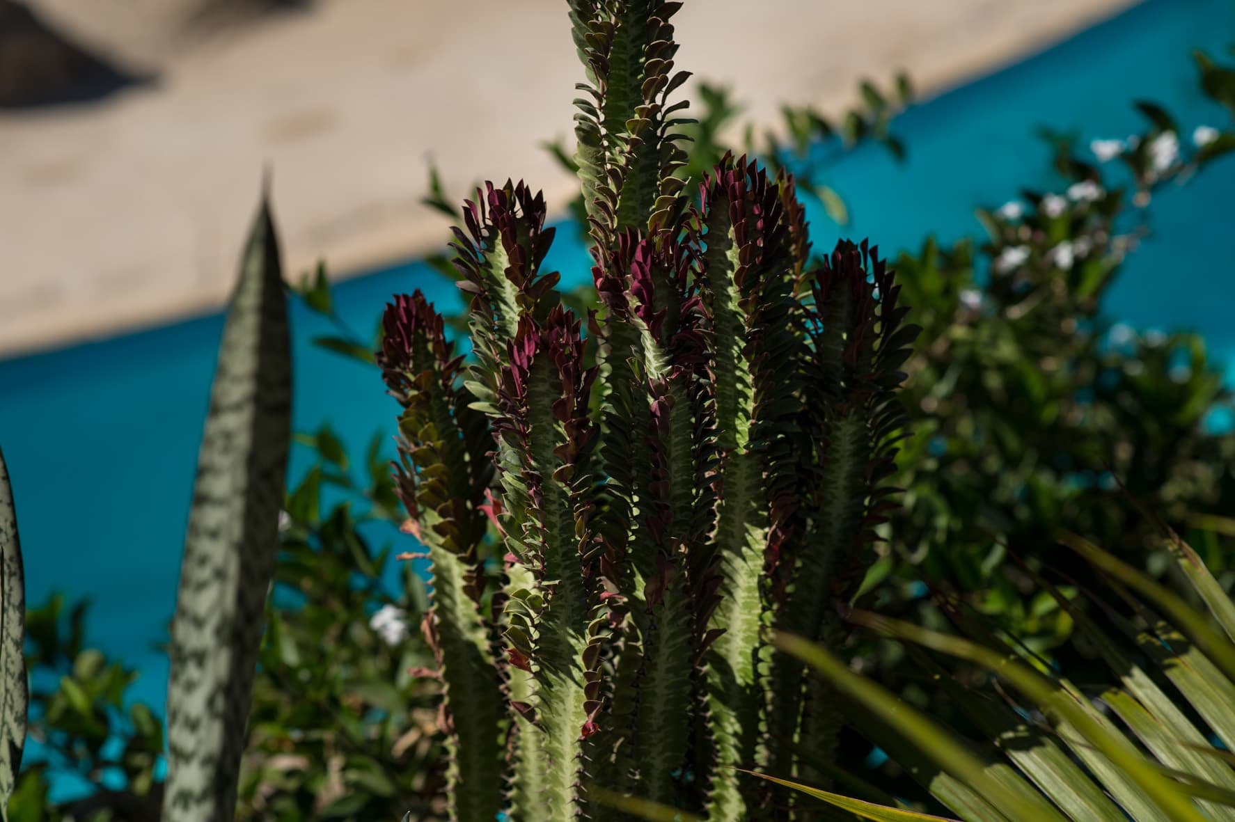 Caves Beach Resort Hurghada, General view