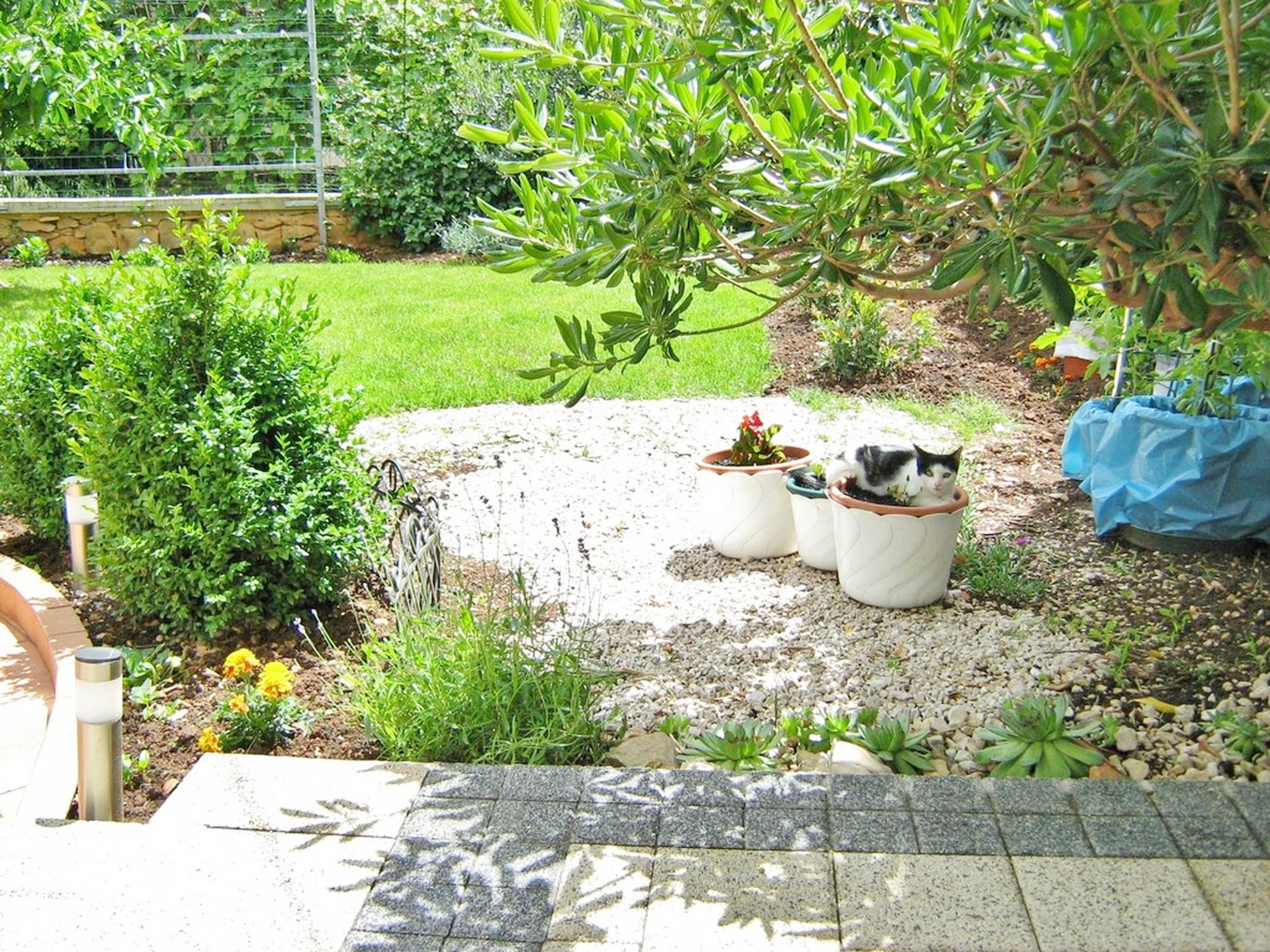 Apartments Marica, General view