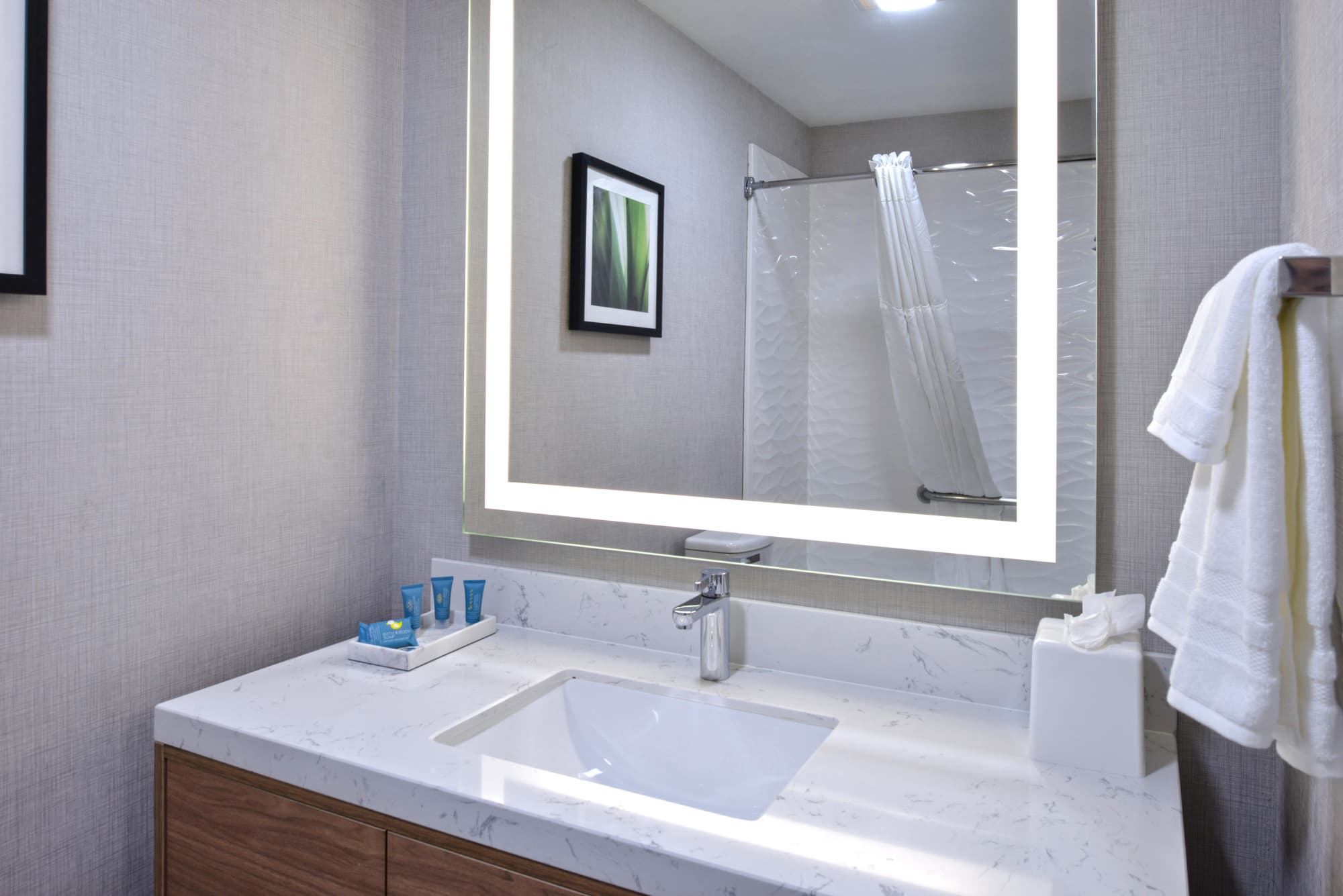 La Casa Modesto, Ascend Hotel Collection, Room