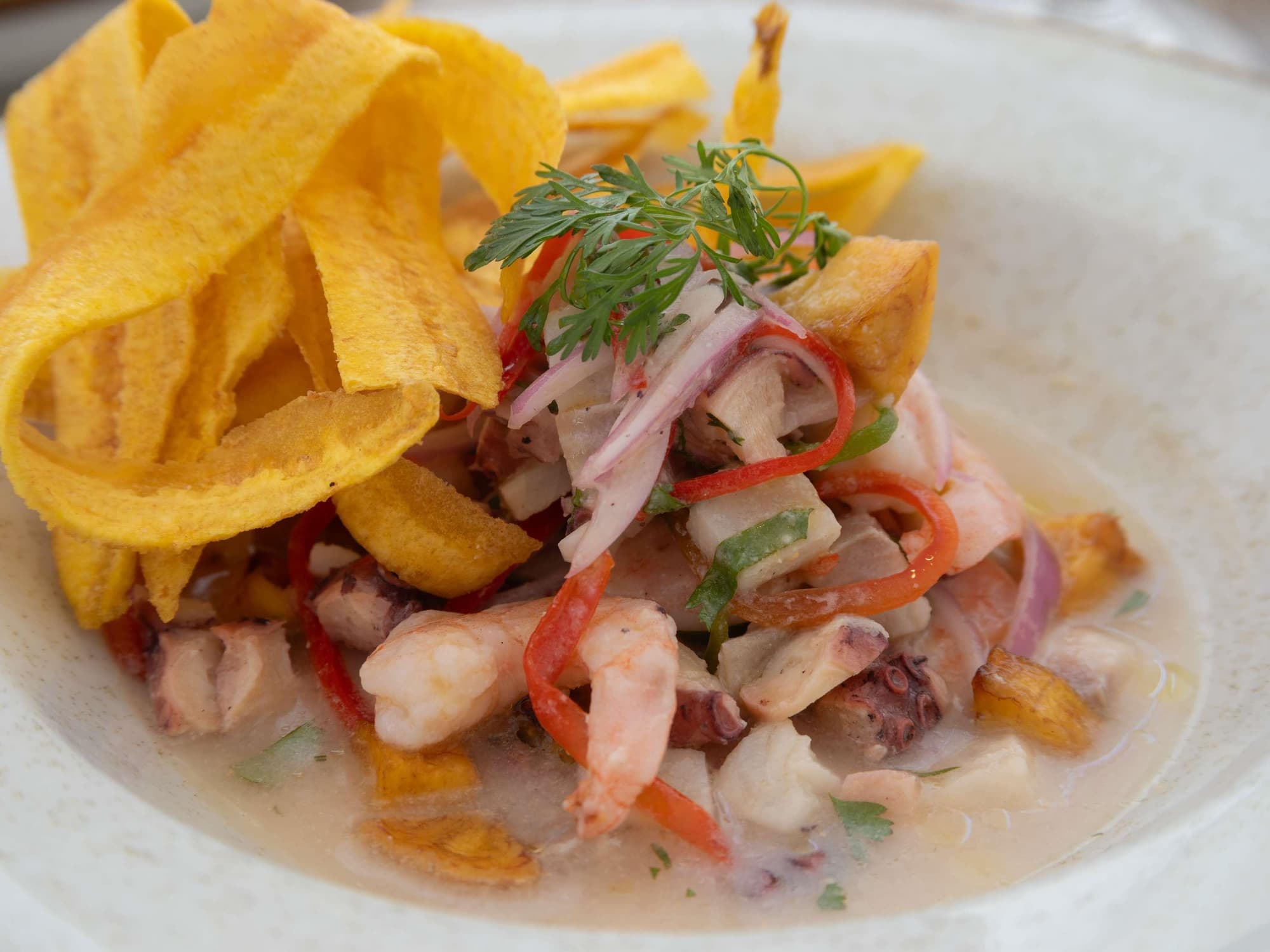 Santa Marta Emile, Restaurant