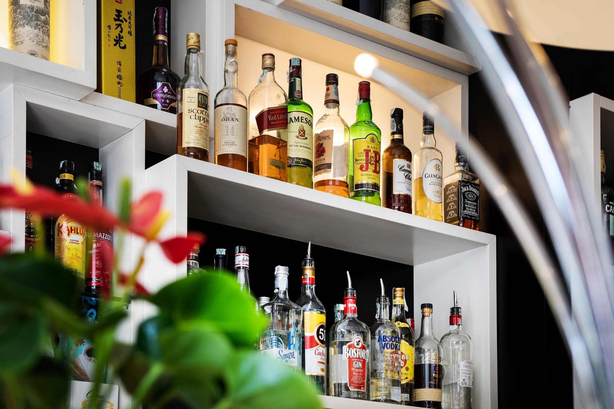 Dharma Luxury Hotel, Bar