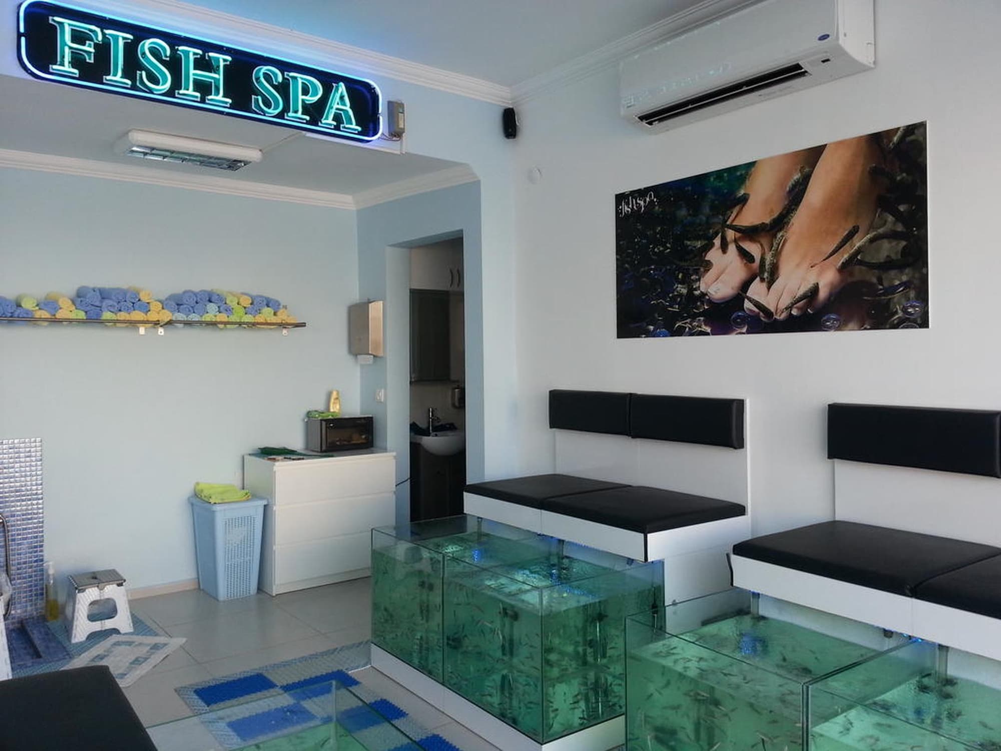 Reis Maris, Sports and Entertainment