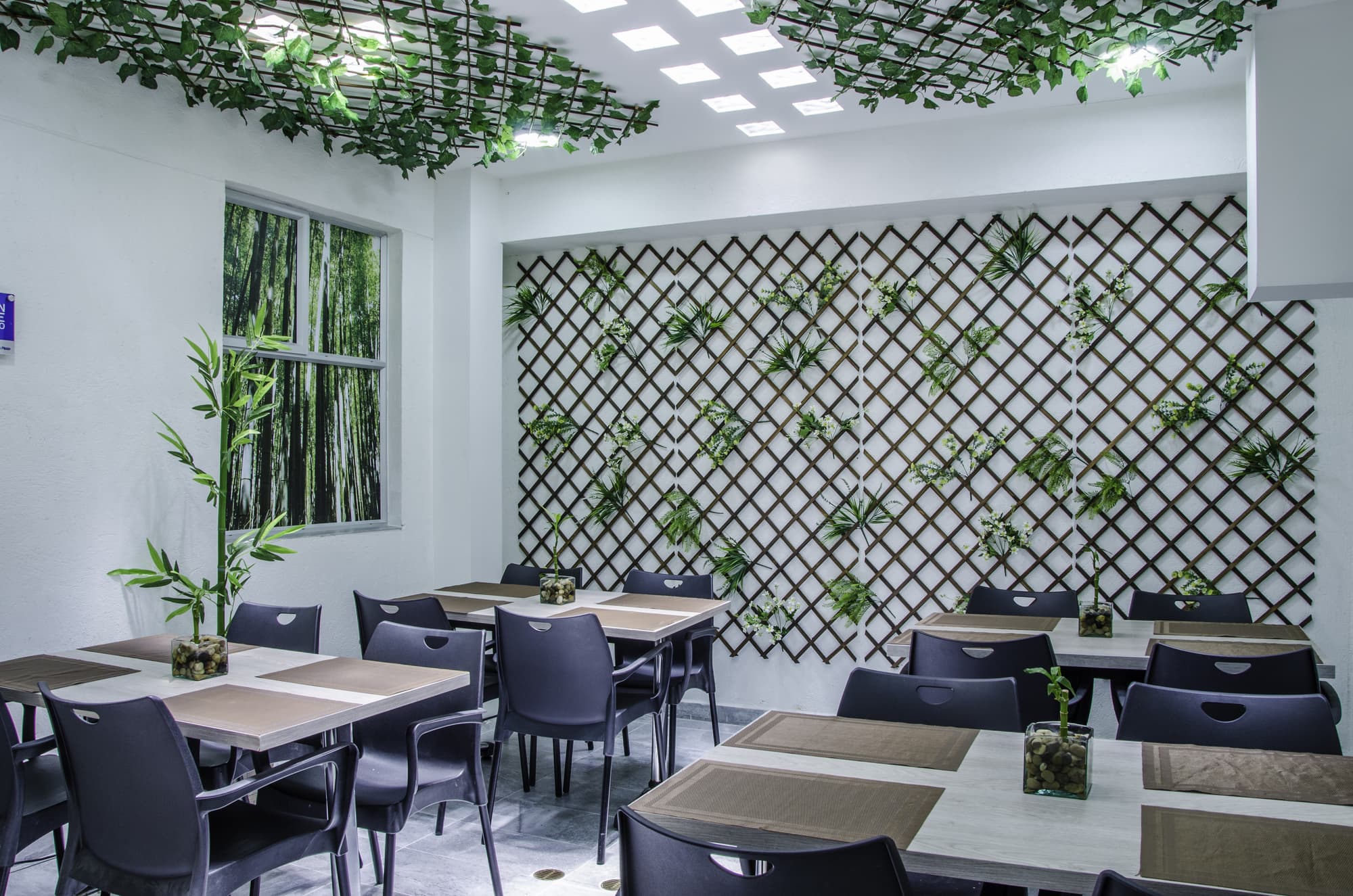 Laureles Plaza, Restaurant