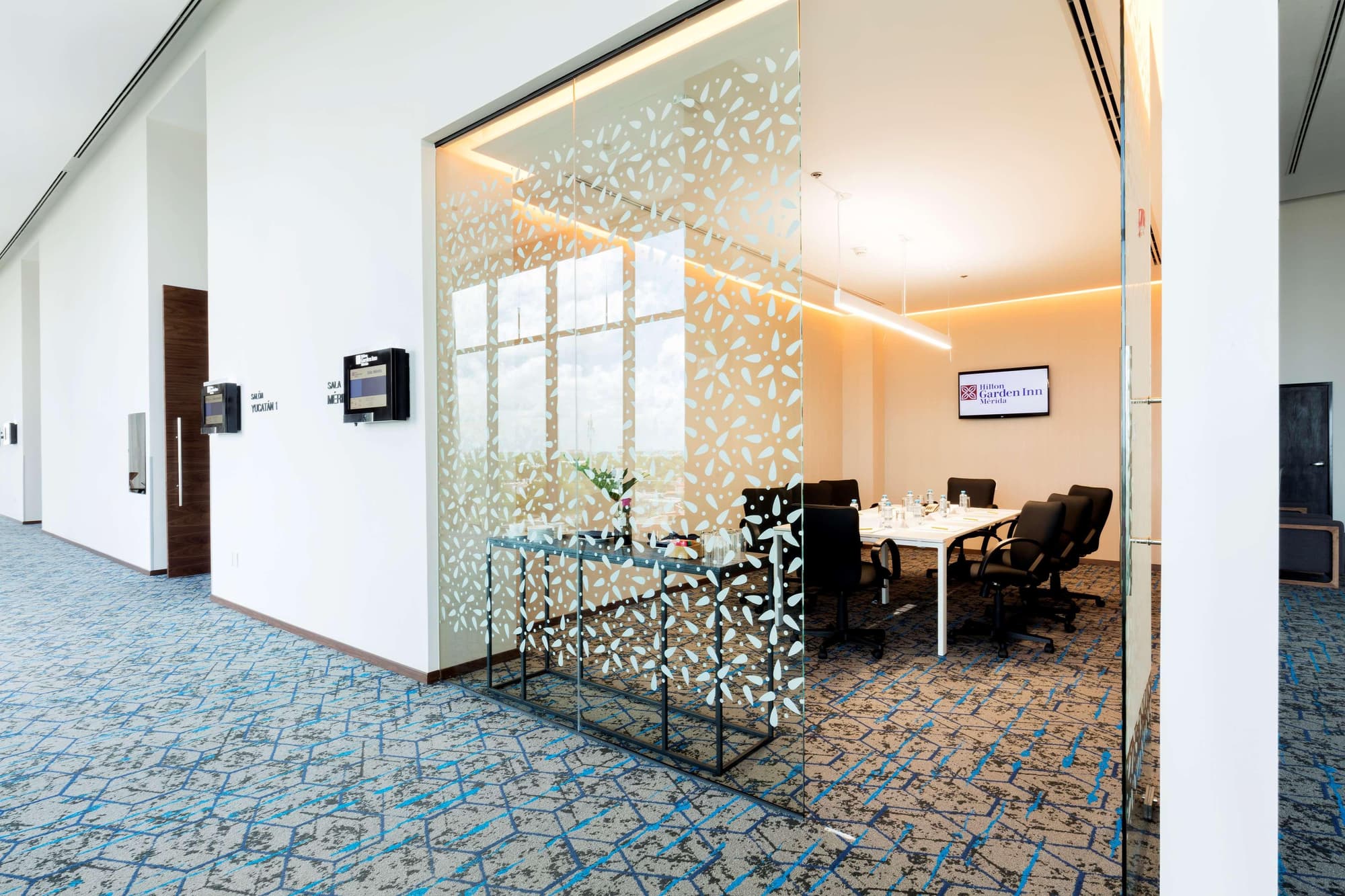 Hilton Garden Inn Merida, General view