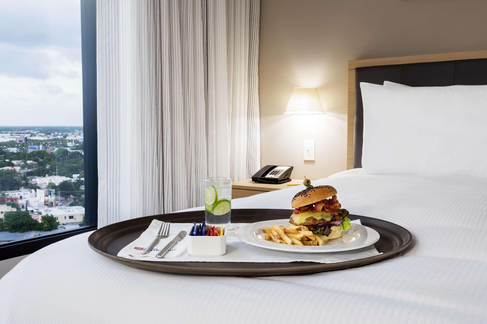 Hilton Garden Inn Merida, Room