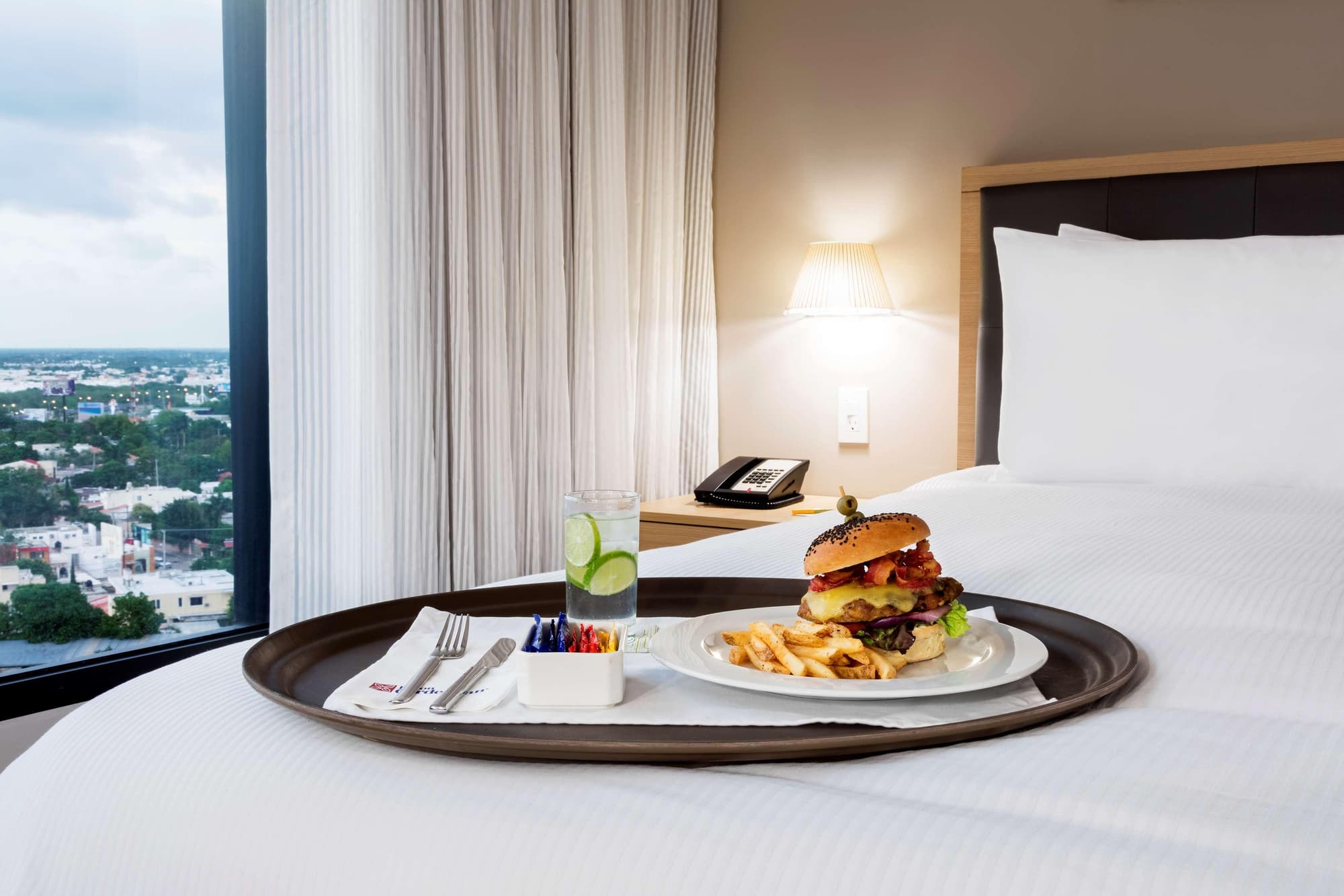 Hilton Garden Inn Merida, Room