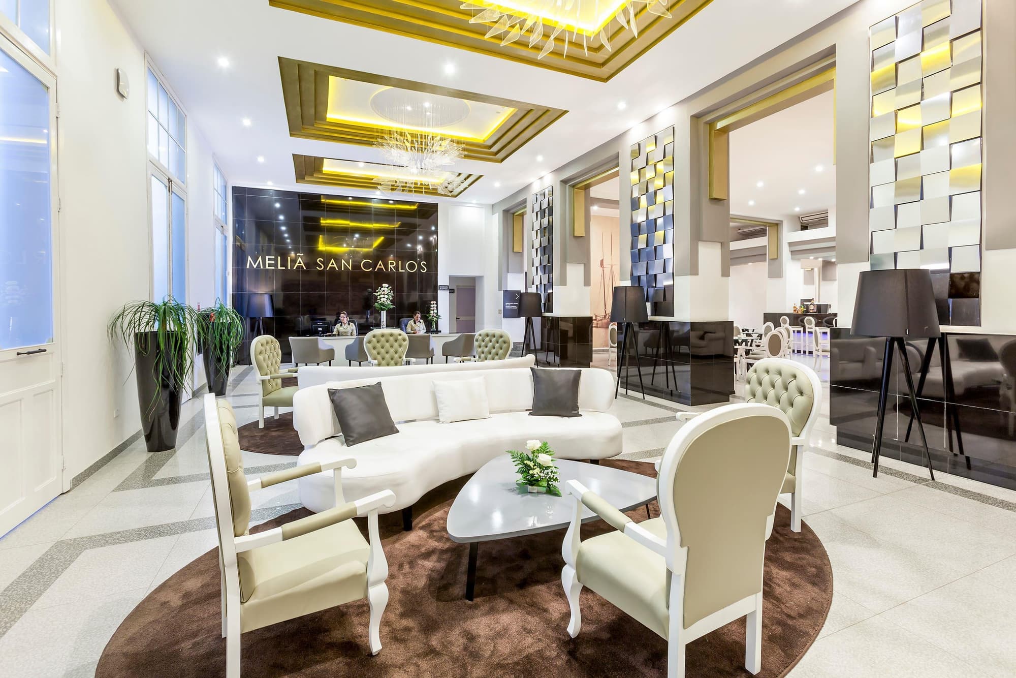 Melia San Carlos, General view