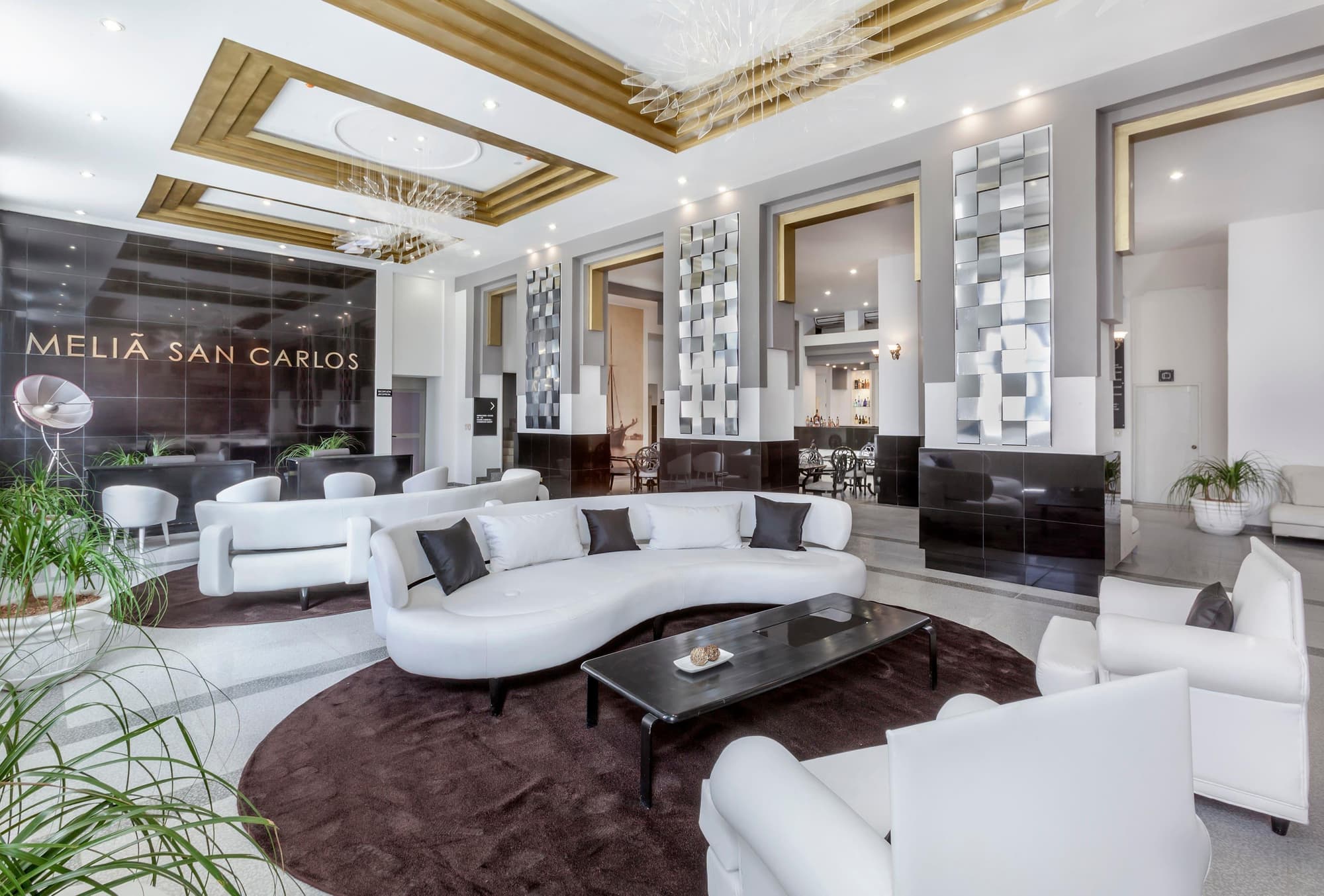 Melia San Carlos, General view