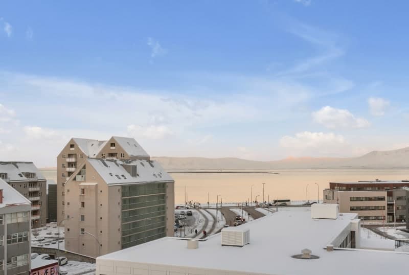 Hlemmur Suites, General view