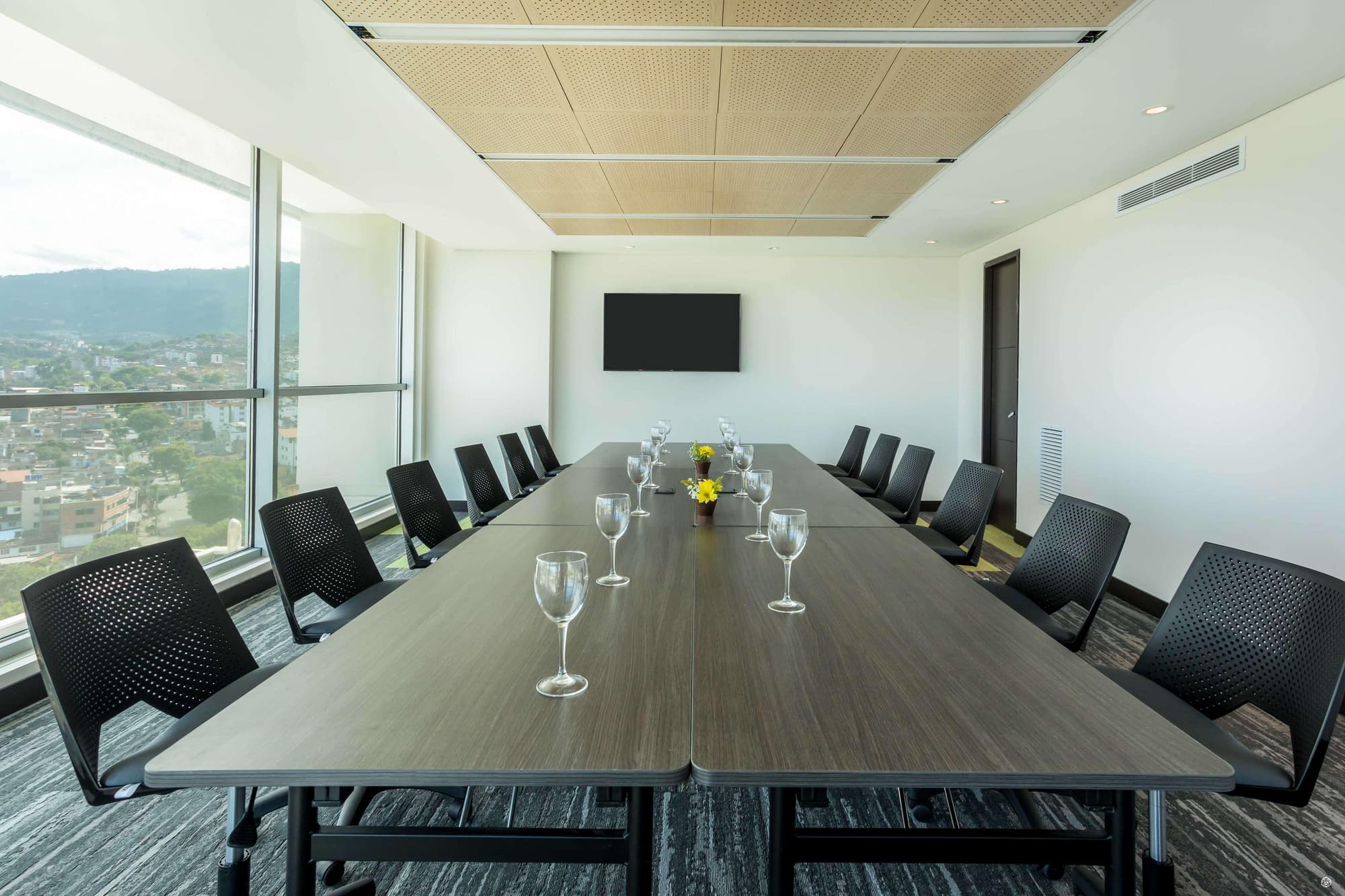 Sonesta Hotel Bucaramanga, Conferences