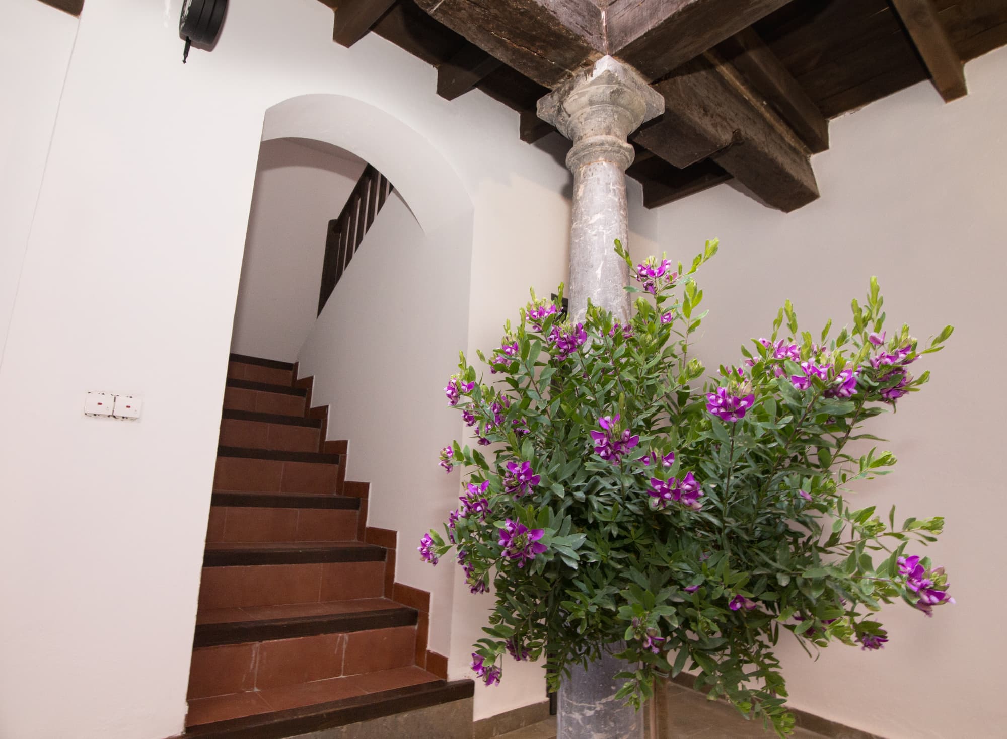 Apartamentos Nahira Suites 3000, General view