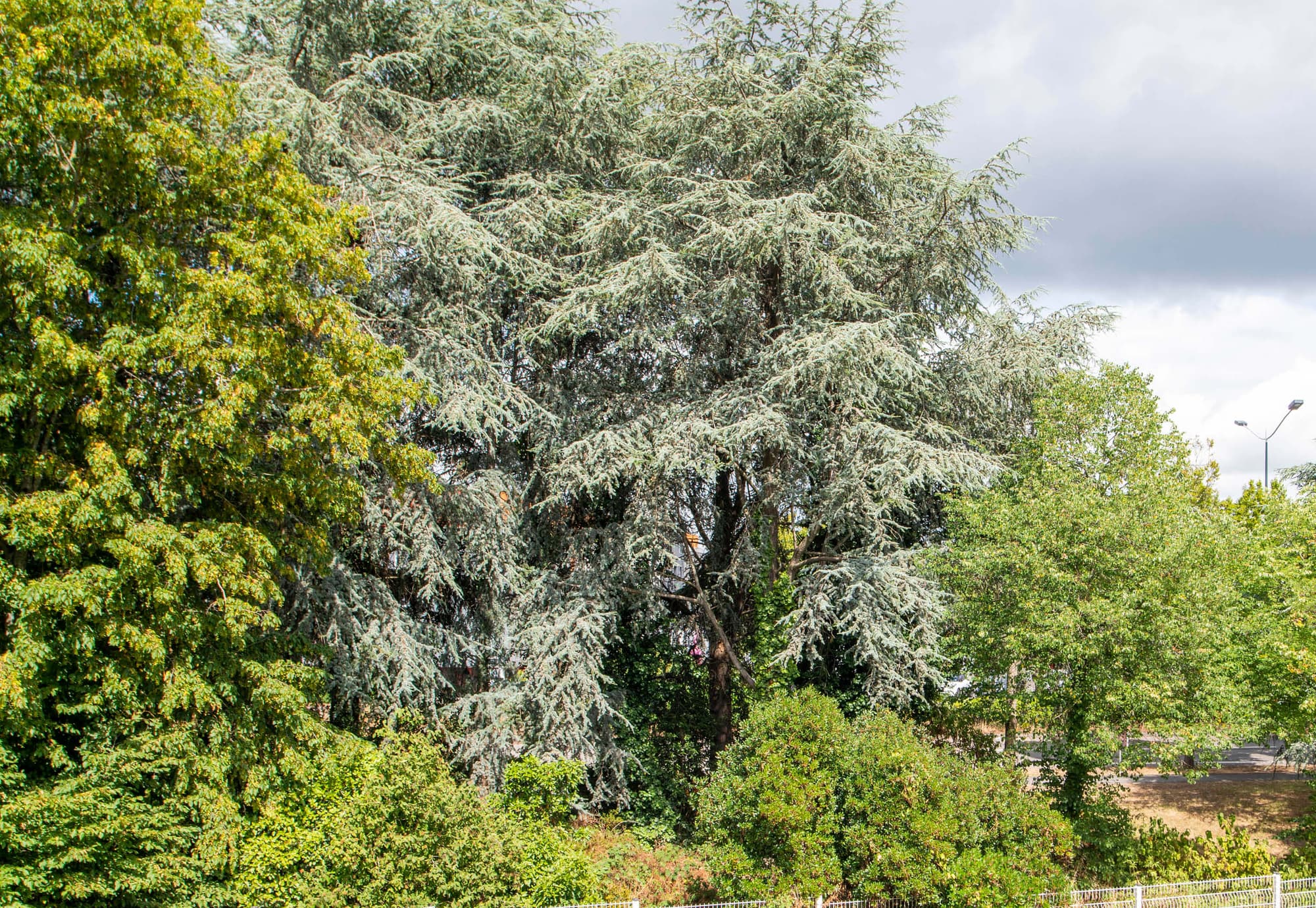 B&B Hôtel Nantes Parc Expos La Beaujoire, General view