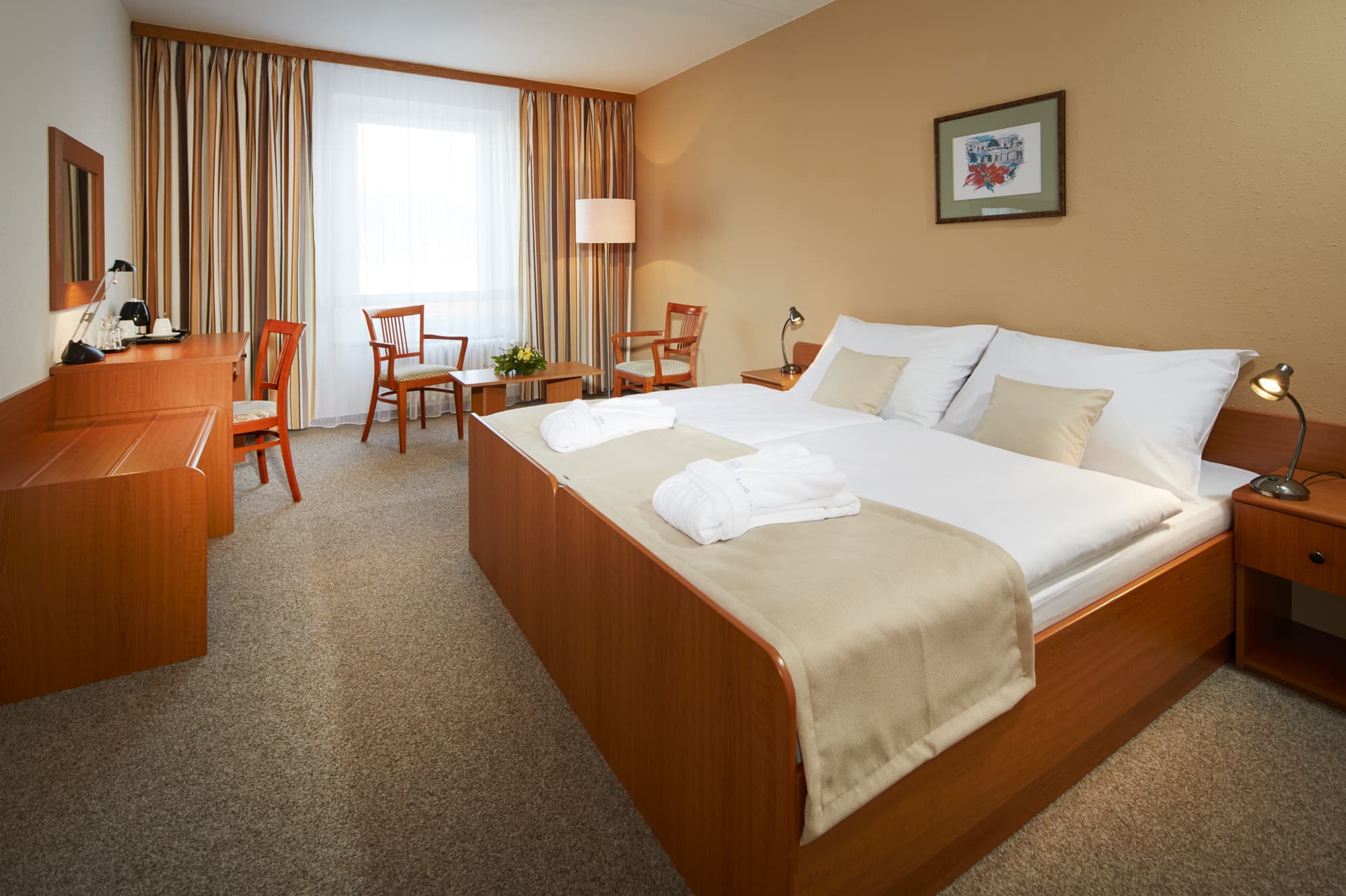 Spa Hotel Devin, Room