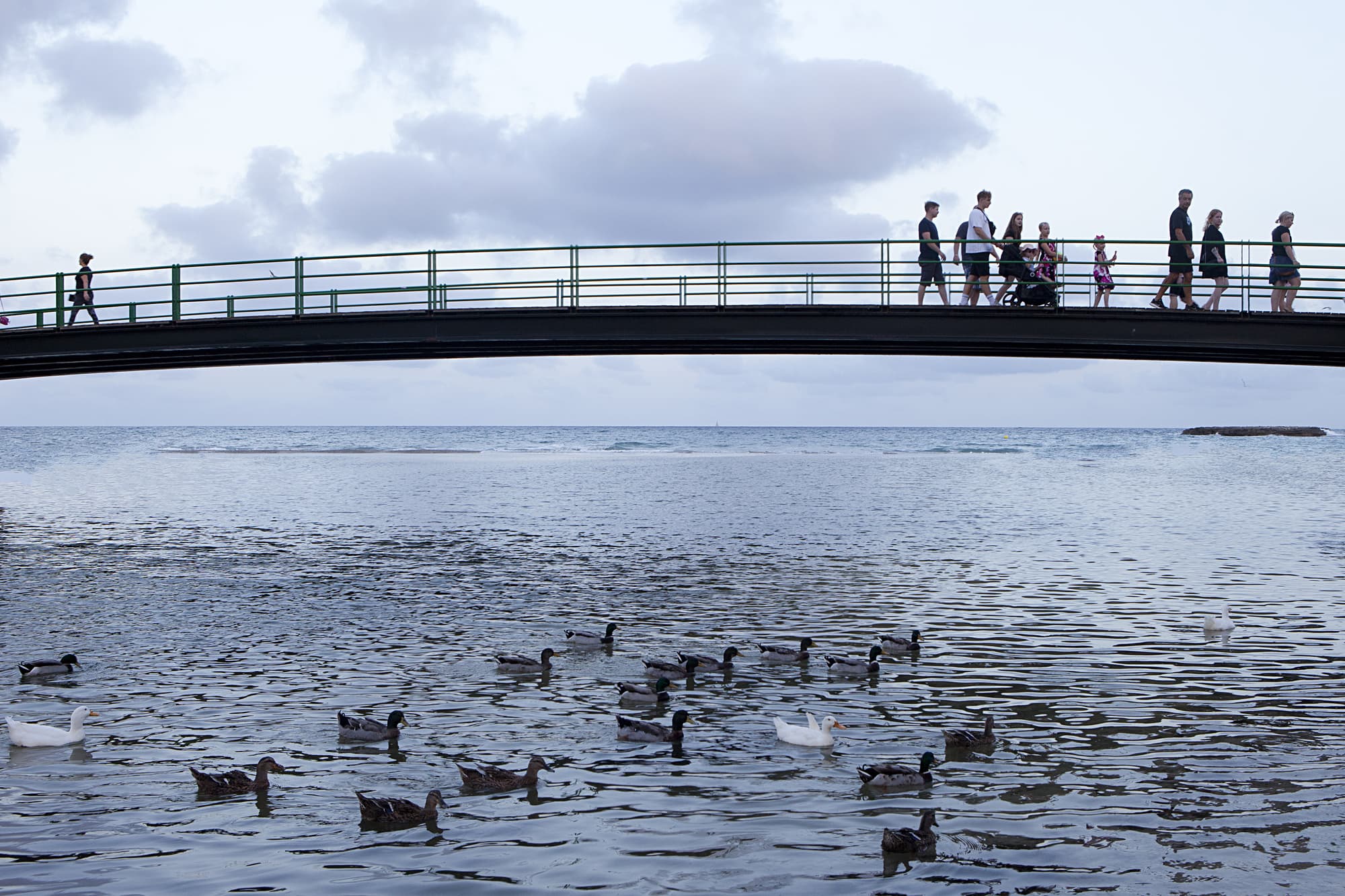 Cala Morlanda Estudios, Beach