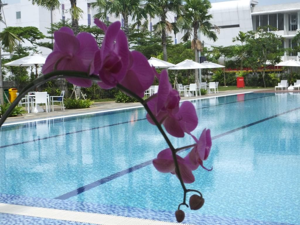 Nunia Inn Bandara, Pool