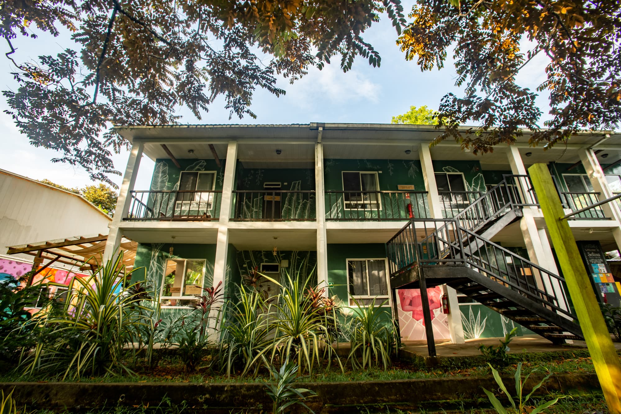 Socialtel Red Frog, General view