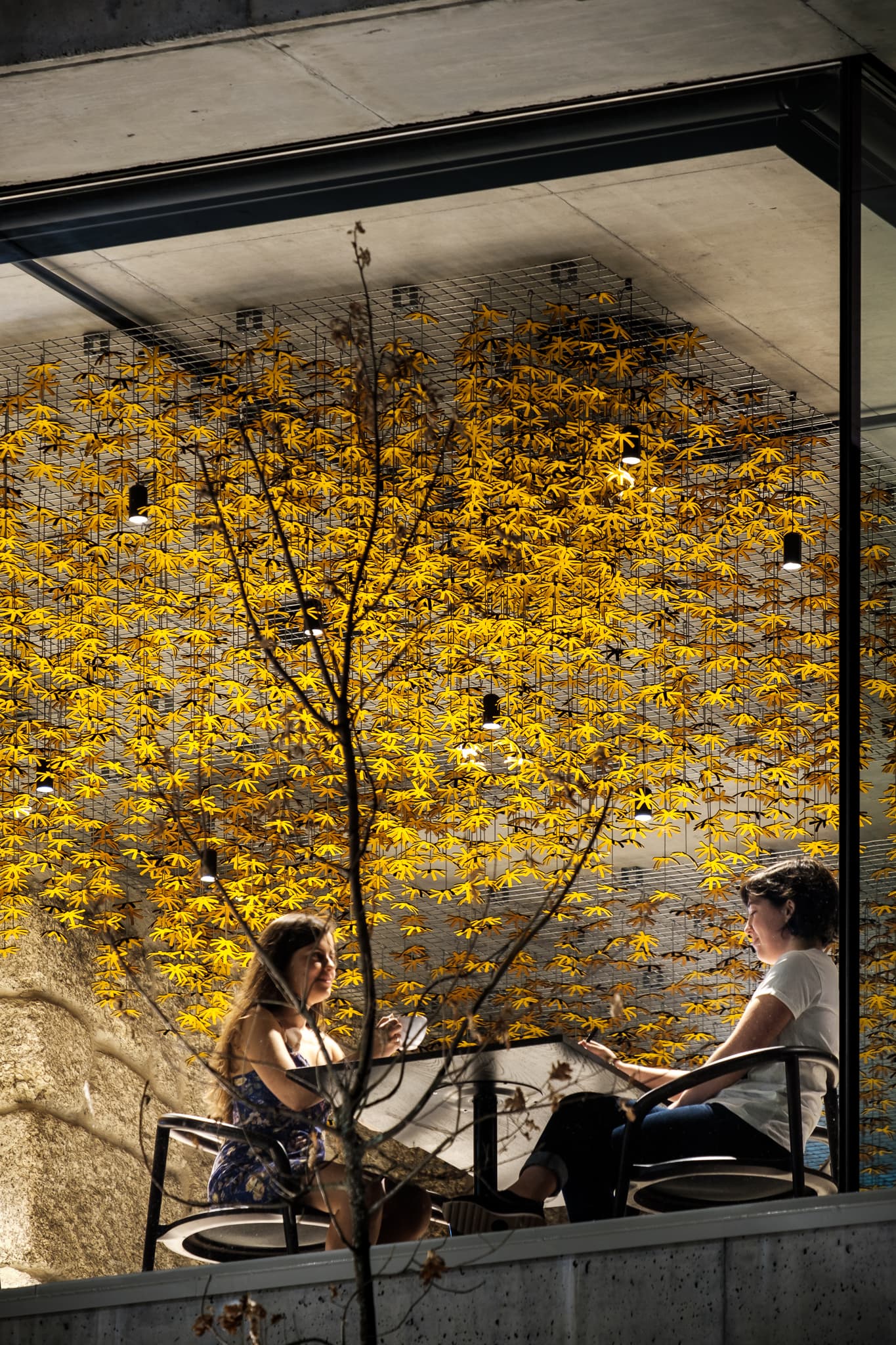 Casa de São Lourenço Burel Panorama Hotel, Restaurant