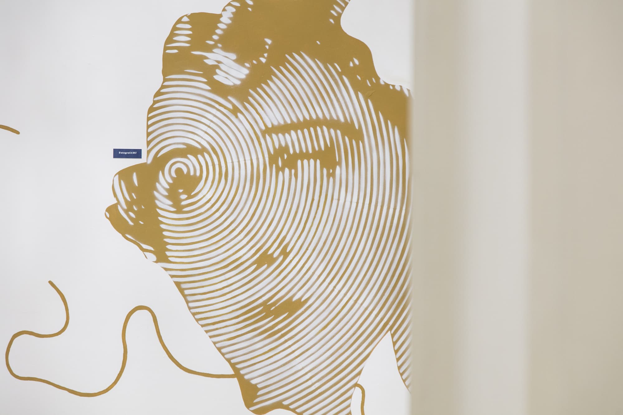 Afea Art & Rooms, General view