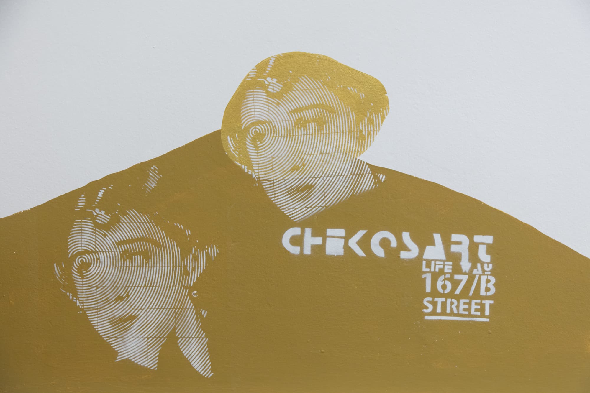 Afea Art & Rooms, General view