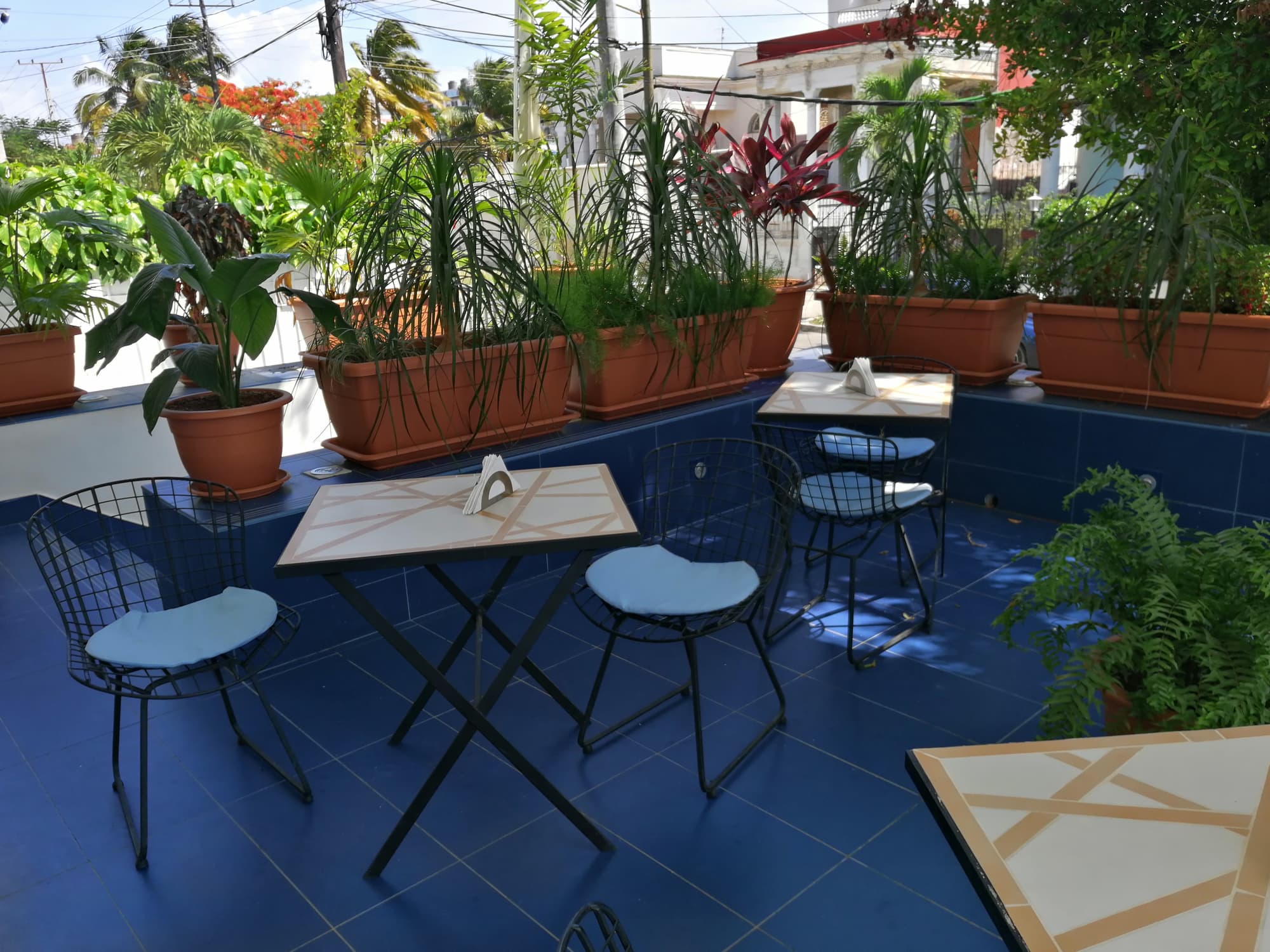 Hostel Vedado Azul, Terrace