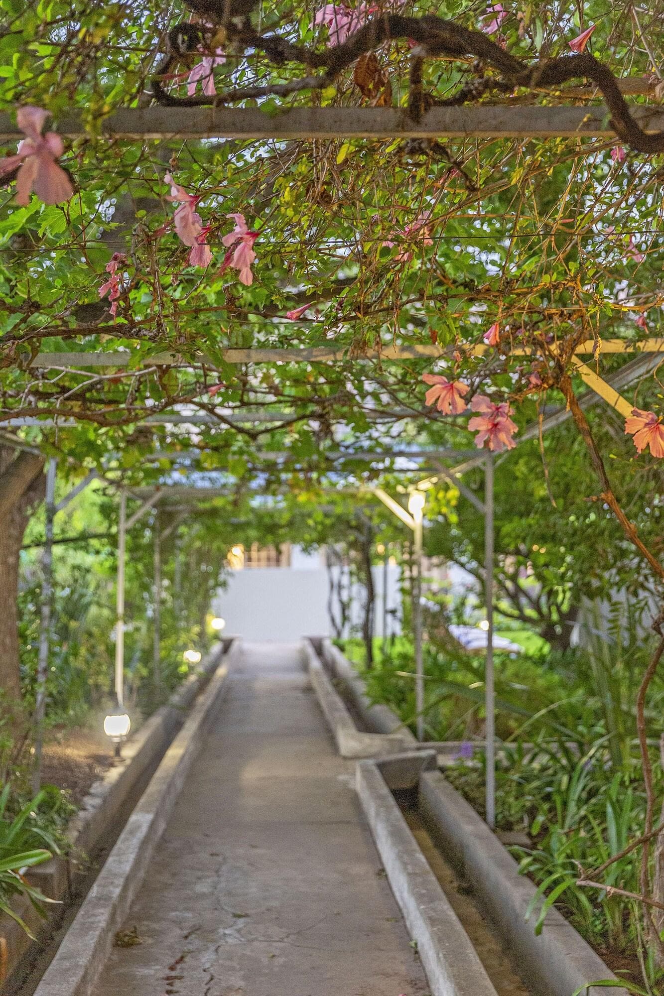 Monte Vista Boutique Hotel, General view