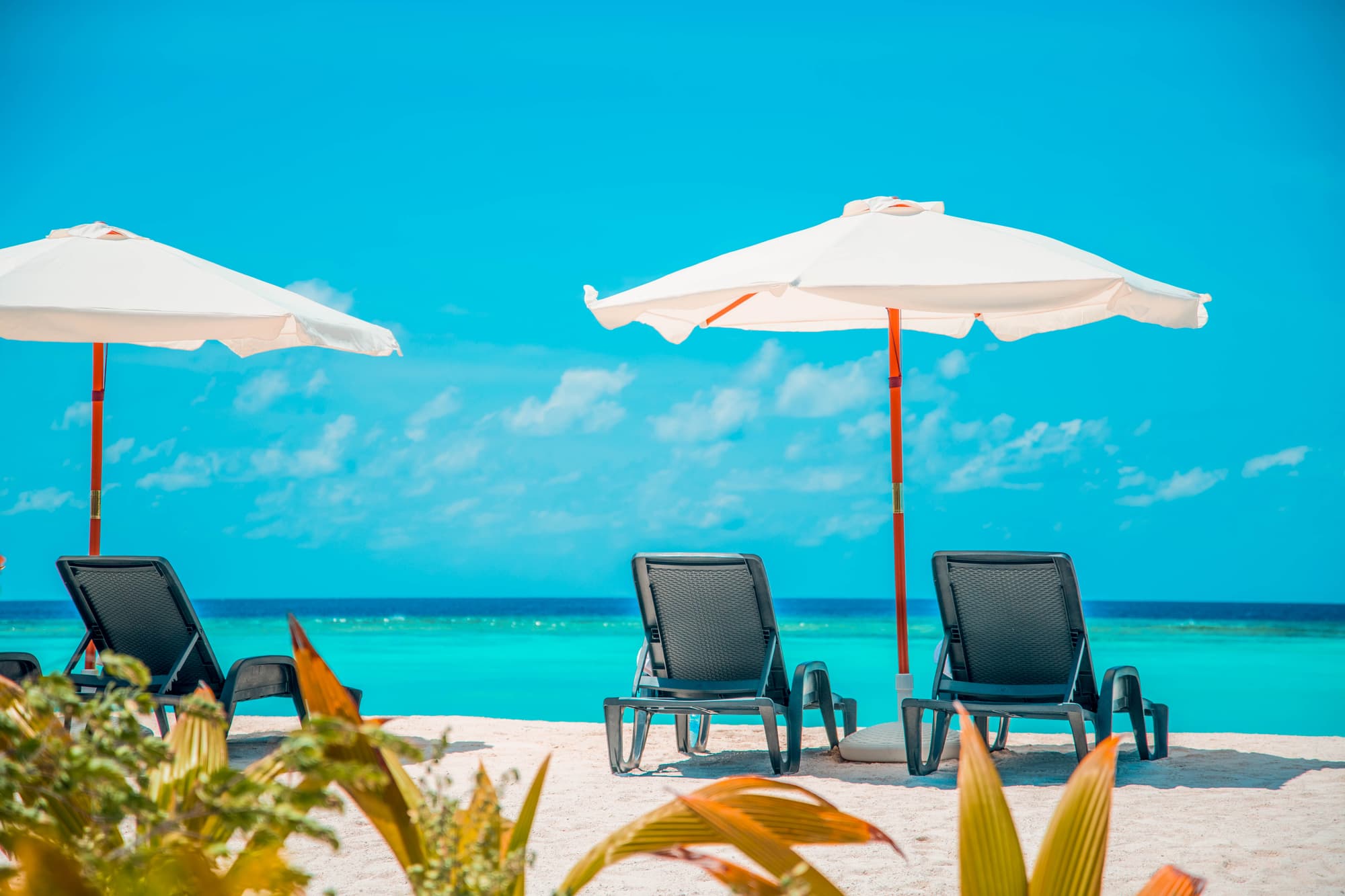 South Palm Resort Maldives, General view