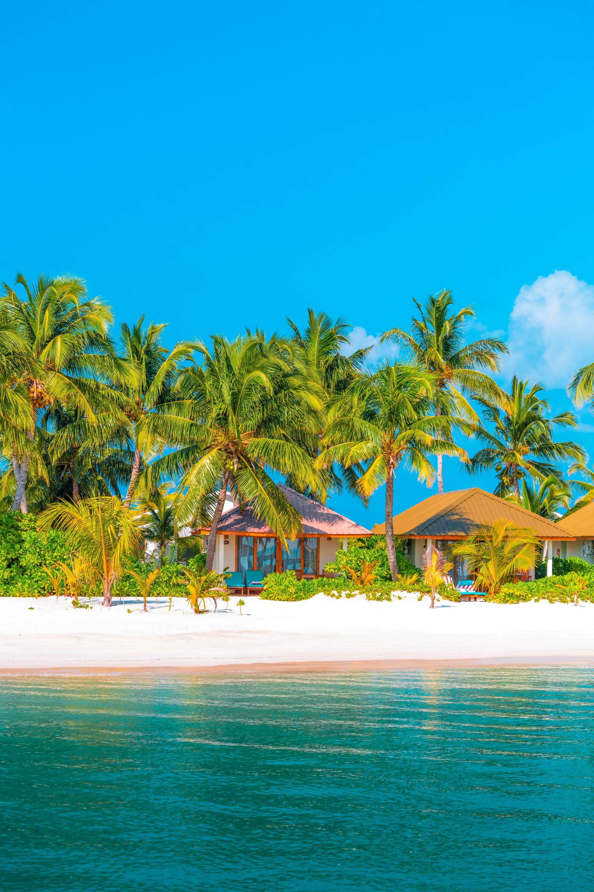 South Palm Resort Maldives, Beach