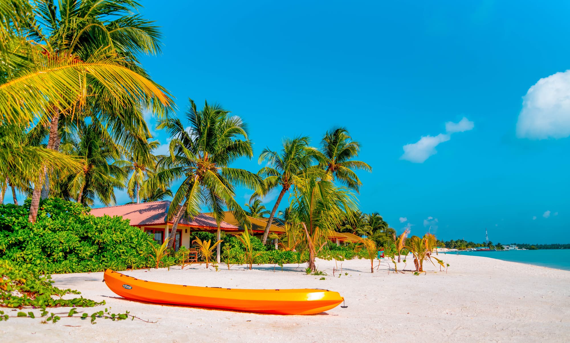 South Palm Resort Maldives, Beach