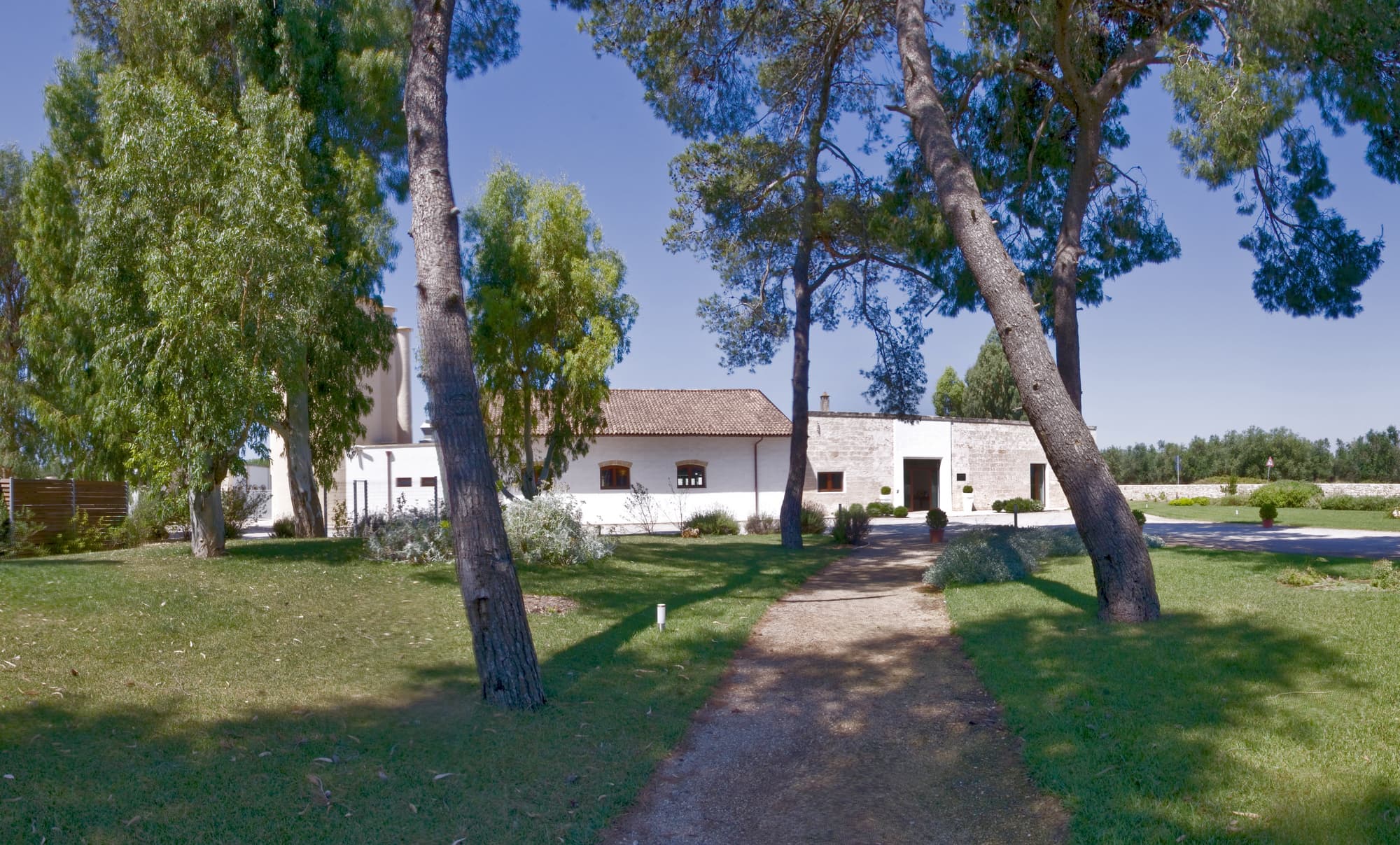Masseria Corda Di Lana Hotel & Resort, Lobby