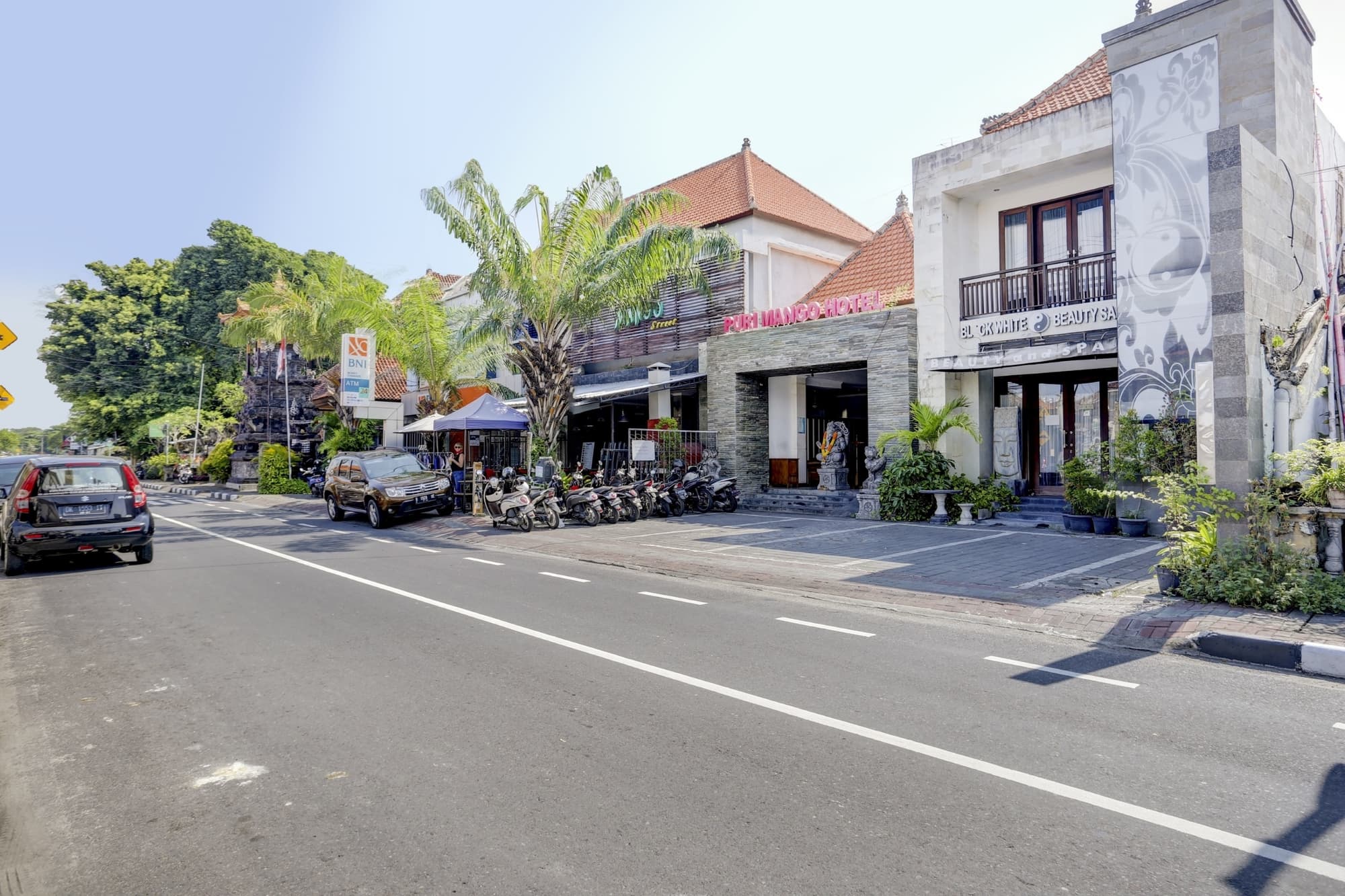 Puri Mango Hotel Sanur, General view