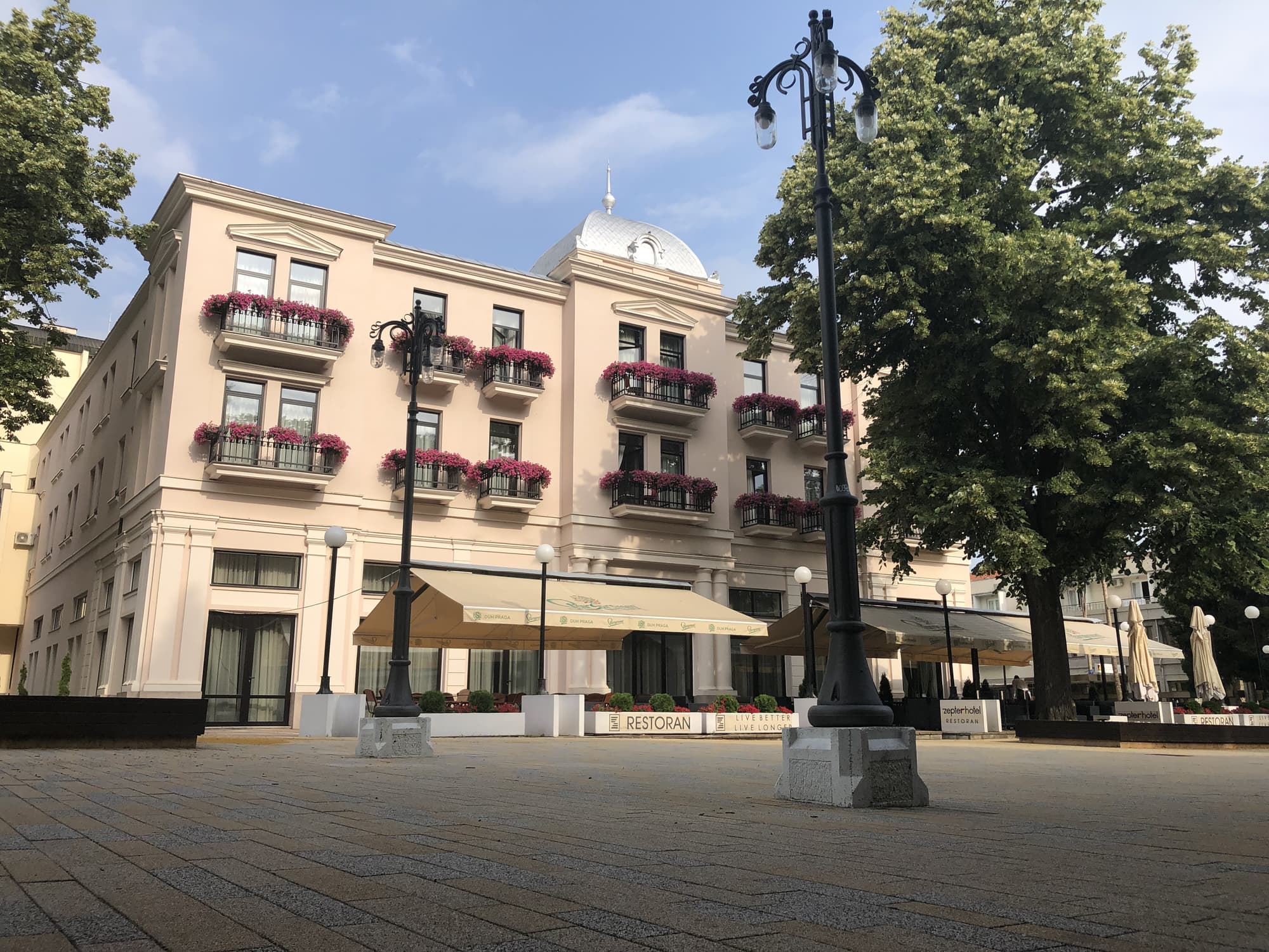 Zepter Hotel V. Banja, member of Zepter Hotels, General view