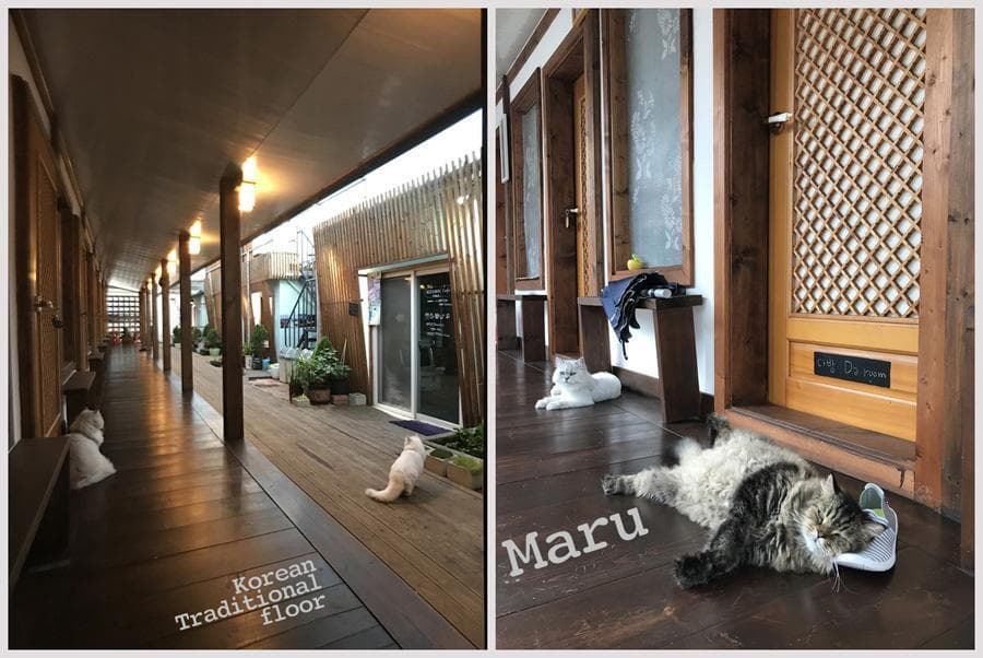 Sindal Guesthouse, Lobby