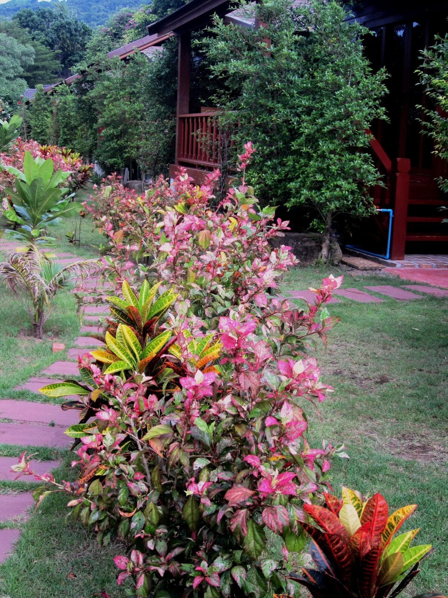 Pingchan Koh Phangan Beachfront Resort, General view