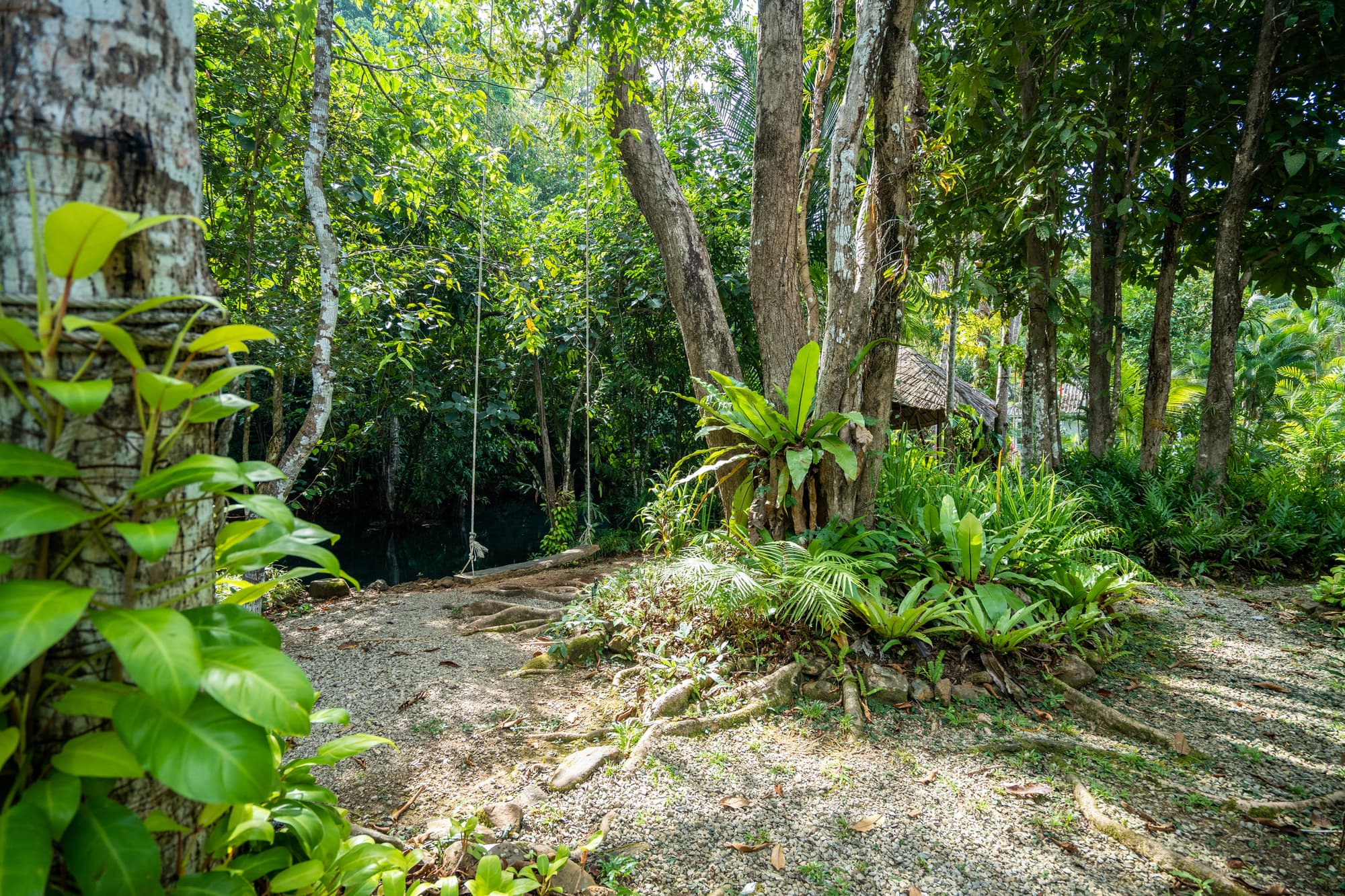 Krabi Pooltara Resort, General view